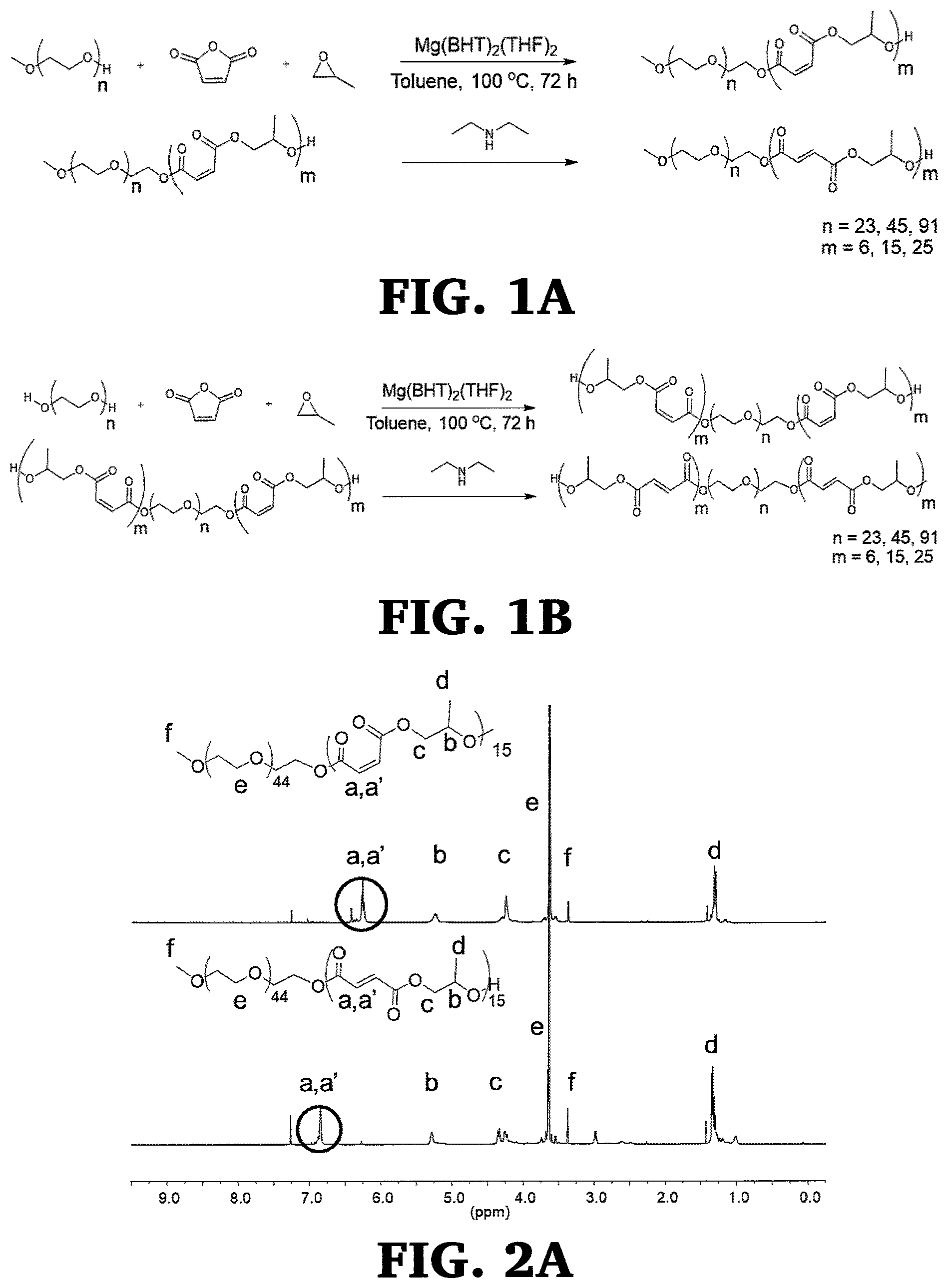 Patent US12297347 Figure 1 – Synthesis and characterization of well defined poly(propylene fumarate) and poly (ethylene glycol) block copolymers