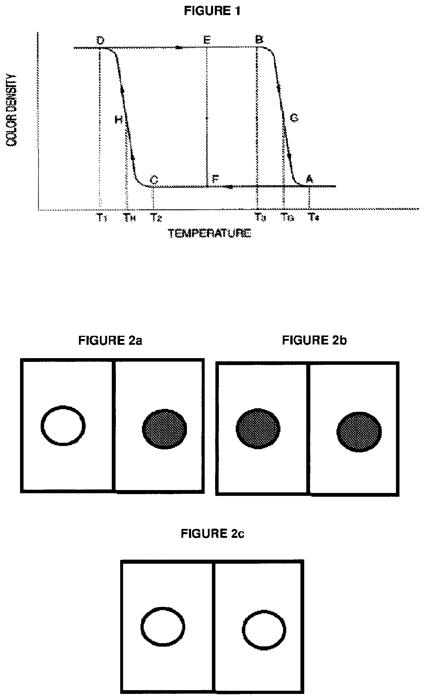 Patent US12297357 Figure 1 – Temperature-sensitive indicator