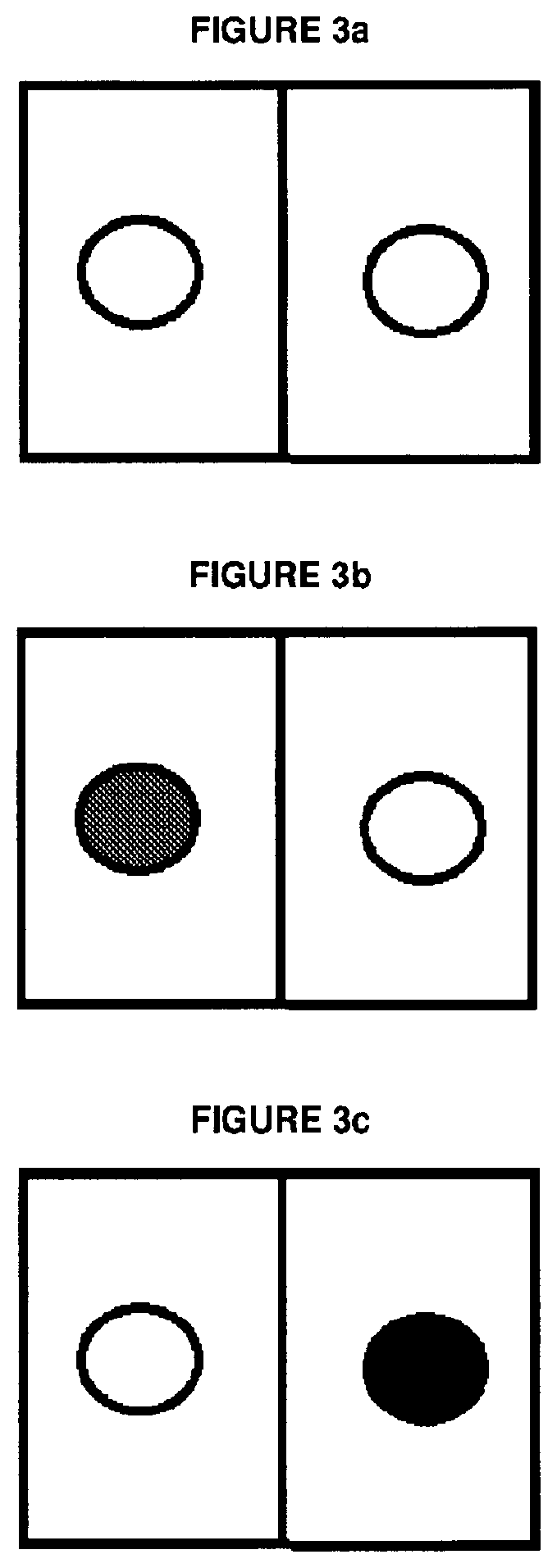 Patent US12297357 Figure 2 – Temperature-sensitive indicator