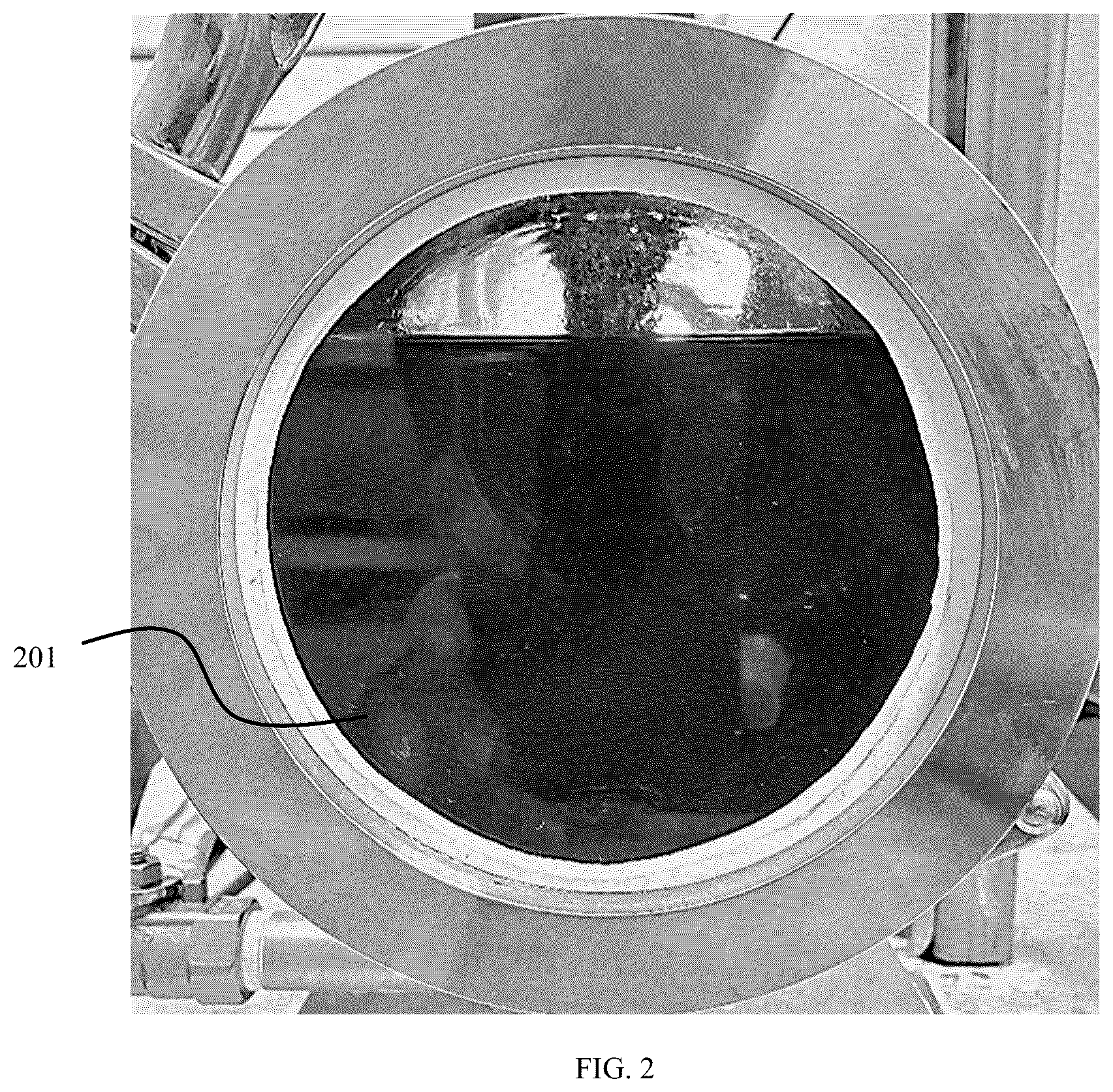 Patent US12297404 Figure 2 – Process and system for producing biodiesel