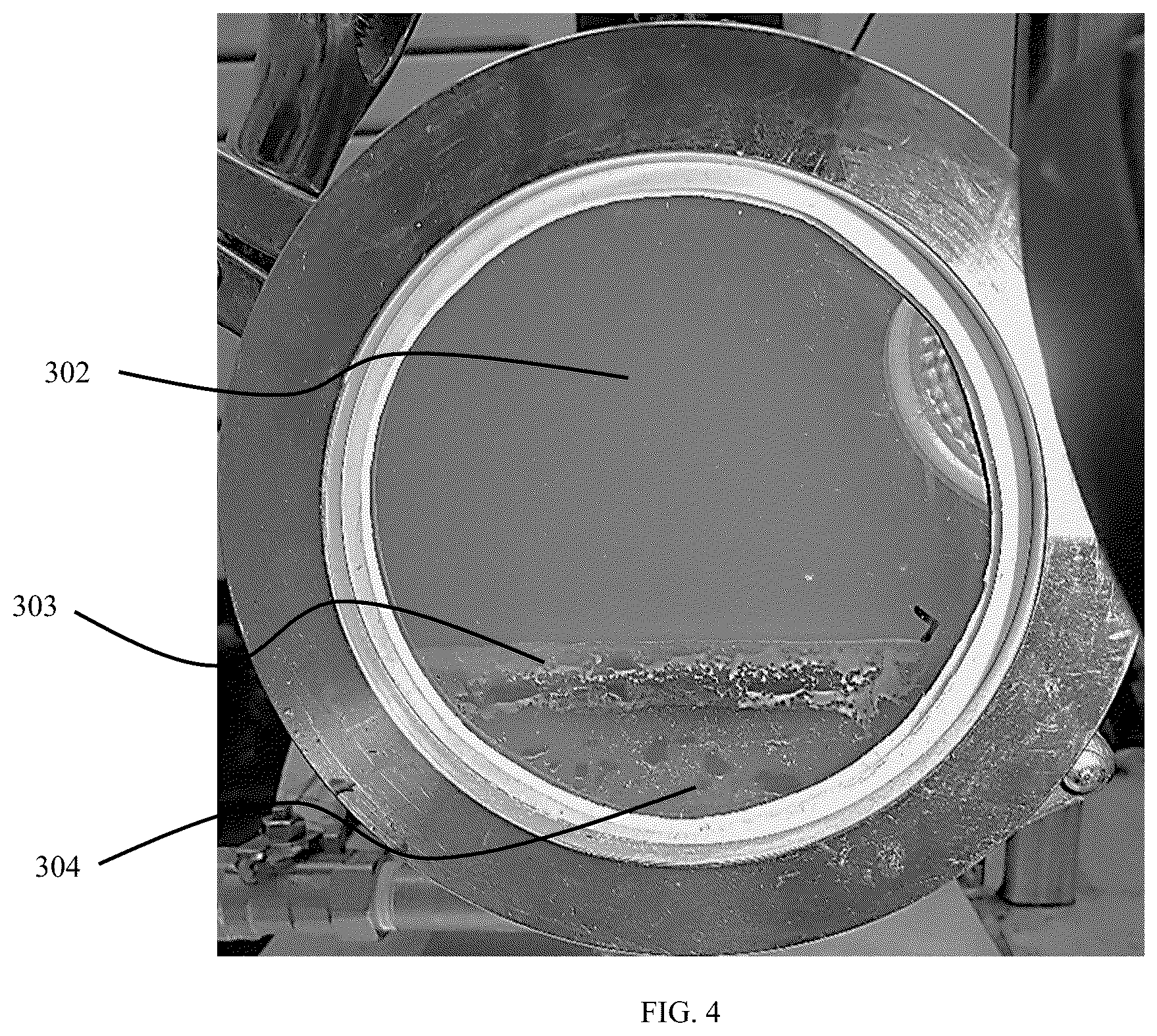 Patent US12297404 Figure 4 – Process and system for producing biodiesel