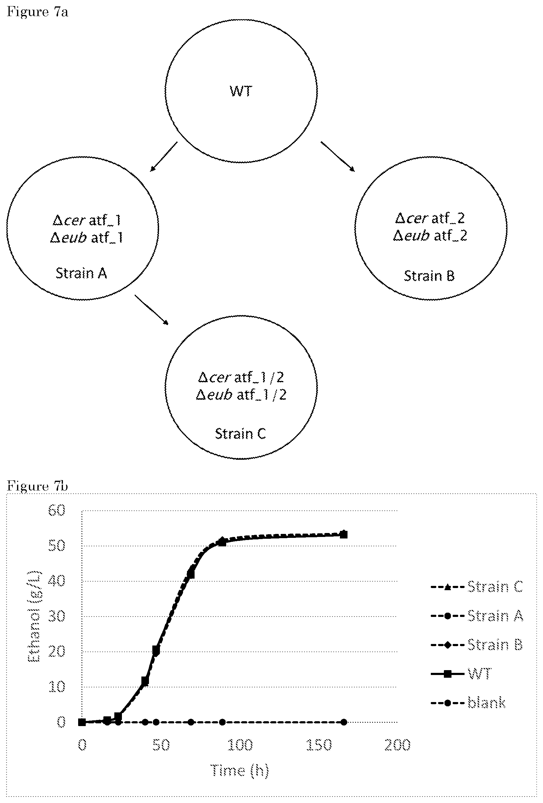 Patent US12297409 Figure 5 – Foam stability