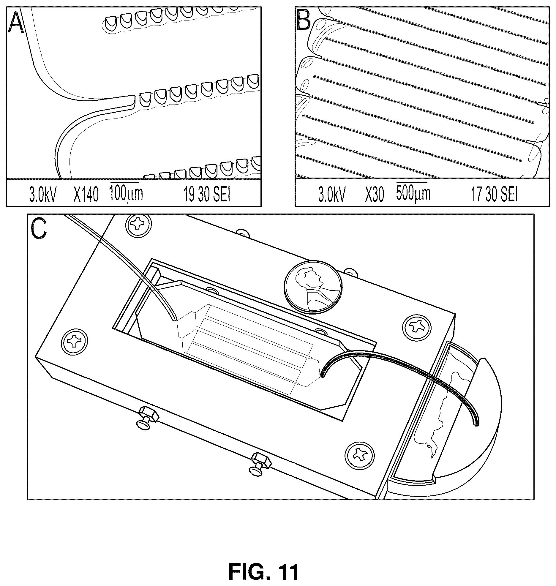 Patent US12297417 Figure 12 – Lateral filter array microfluidic device