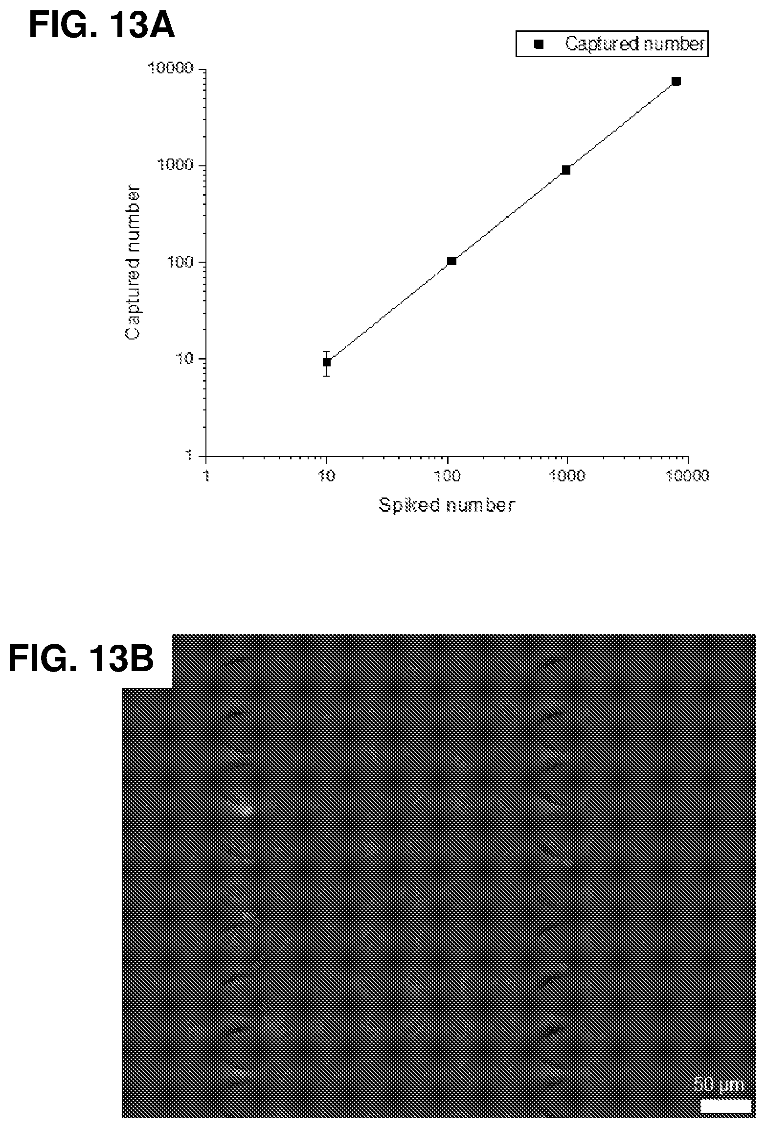 Patent US12297417 Figure 14 – Lateral filter array microfluidic device