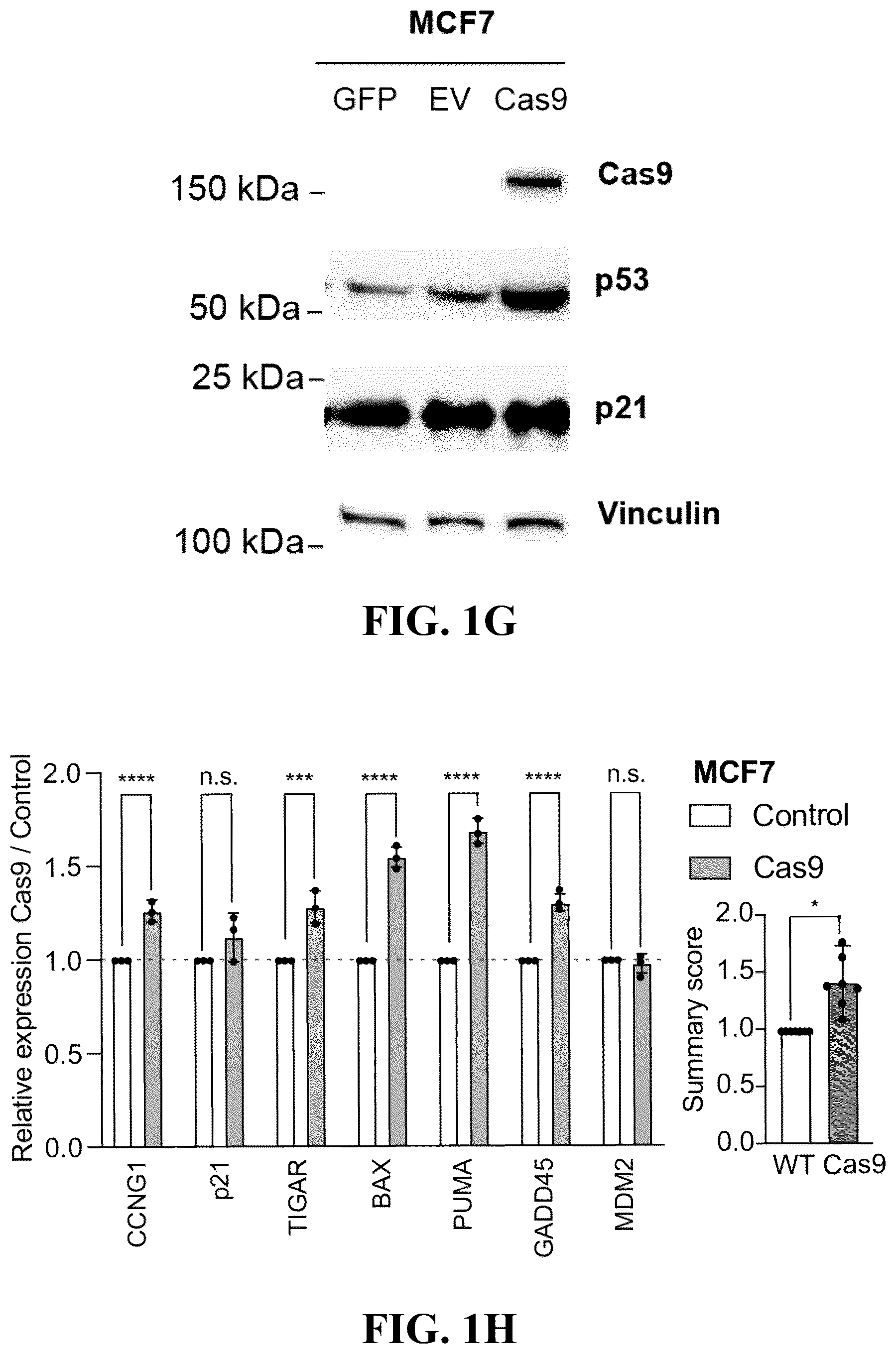 Patent US12297426 Figure 5 – DNA damage response signature guided rational design of CRISPR-based systems and therapies