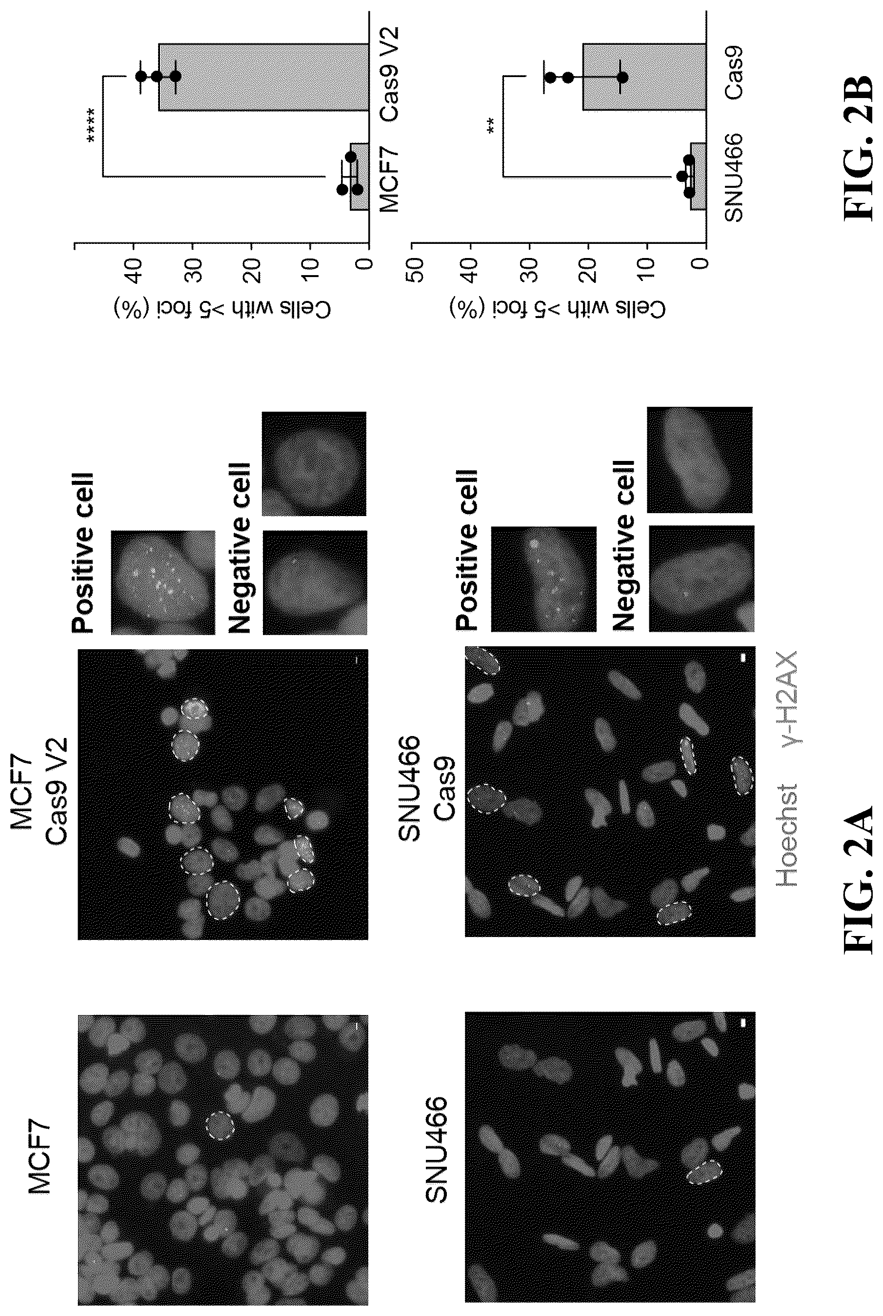 Patent US12297426 Figure 6 – DNA damage response signature guided rational design of CRISPR-based systems and therapies