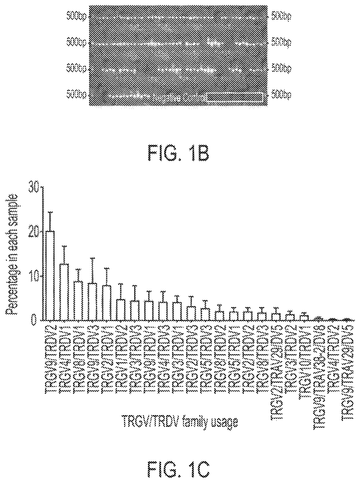 Patent US12297427 Figure 2 – Cloning and expression system for T-cell receptors