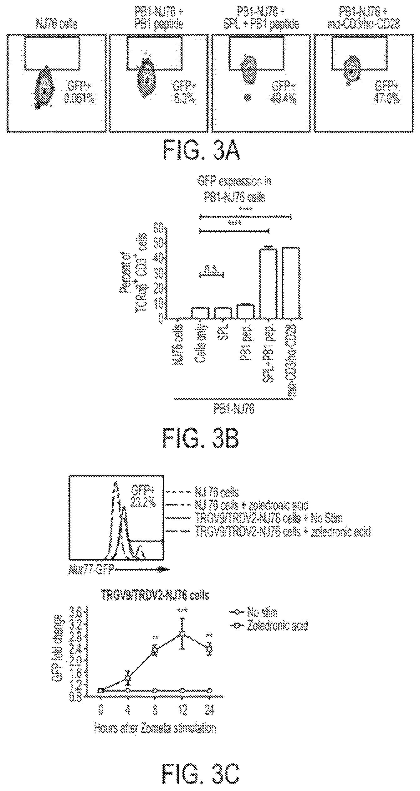 Patent US12297427 Figure 4 – Cloning and expression system for T-cell receptors