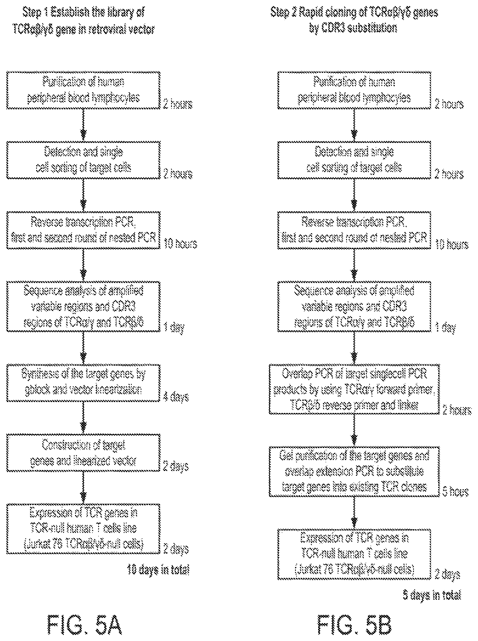 Patent US12297427 Figure 6 – Cloning and expression system for T-cell receptors