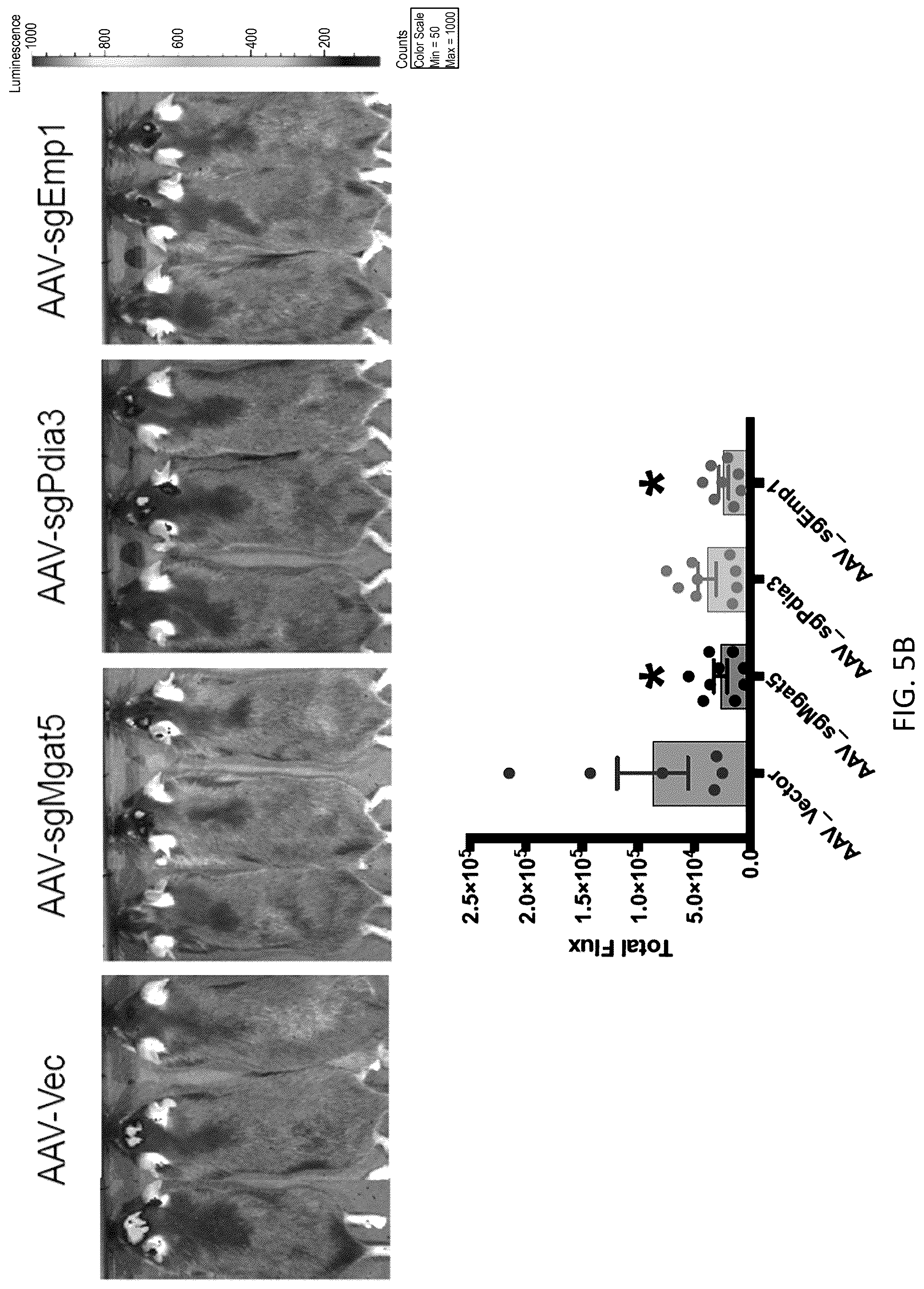 Patent US12297428 Figure 18 – Compositions for identification of membrane targets for enhancement of T cell activity against cancer