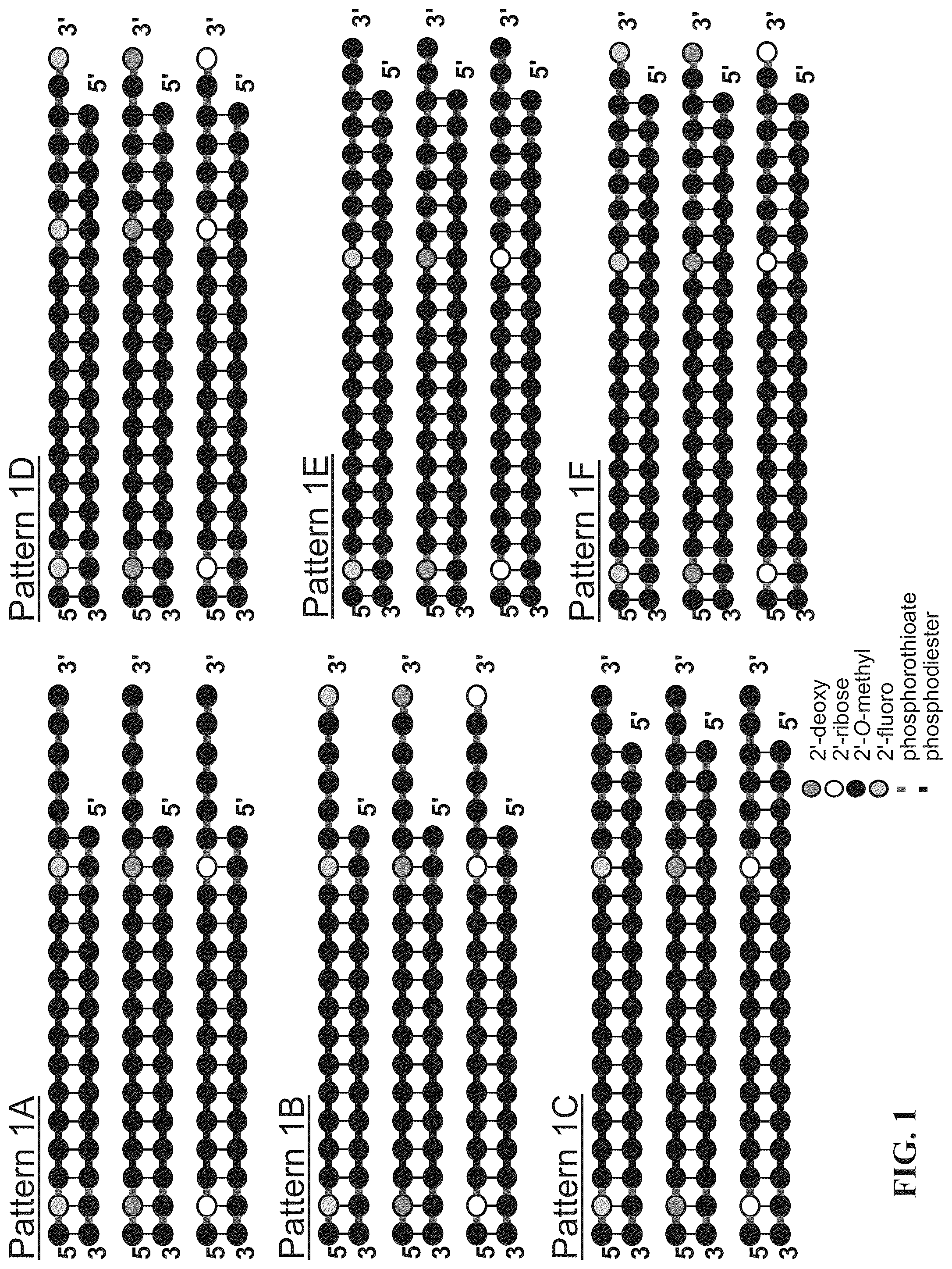 Patent US12297430 Figure 1 – O-methyl rich fully stabilized oligonucleotides