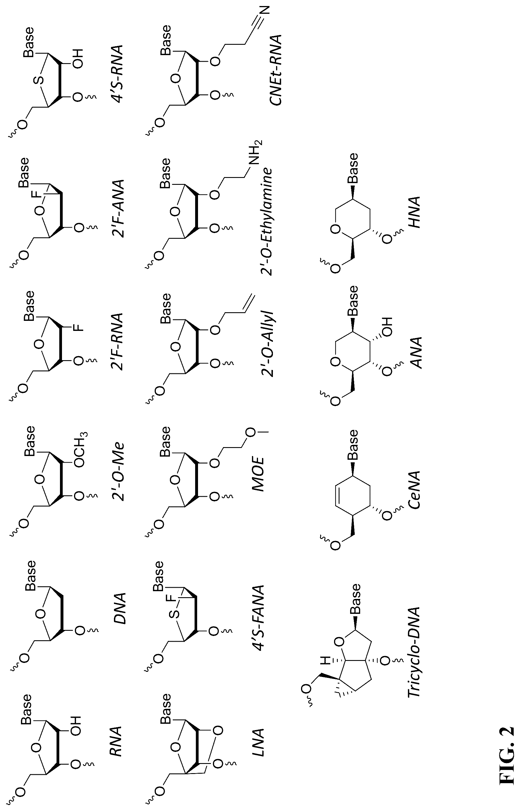 Patent US12297430 Figure 2 – O-methyl rich fully stabilized oligonucleotides