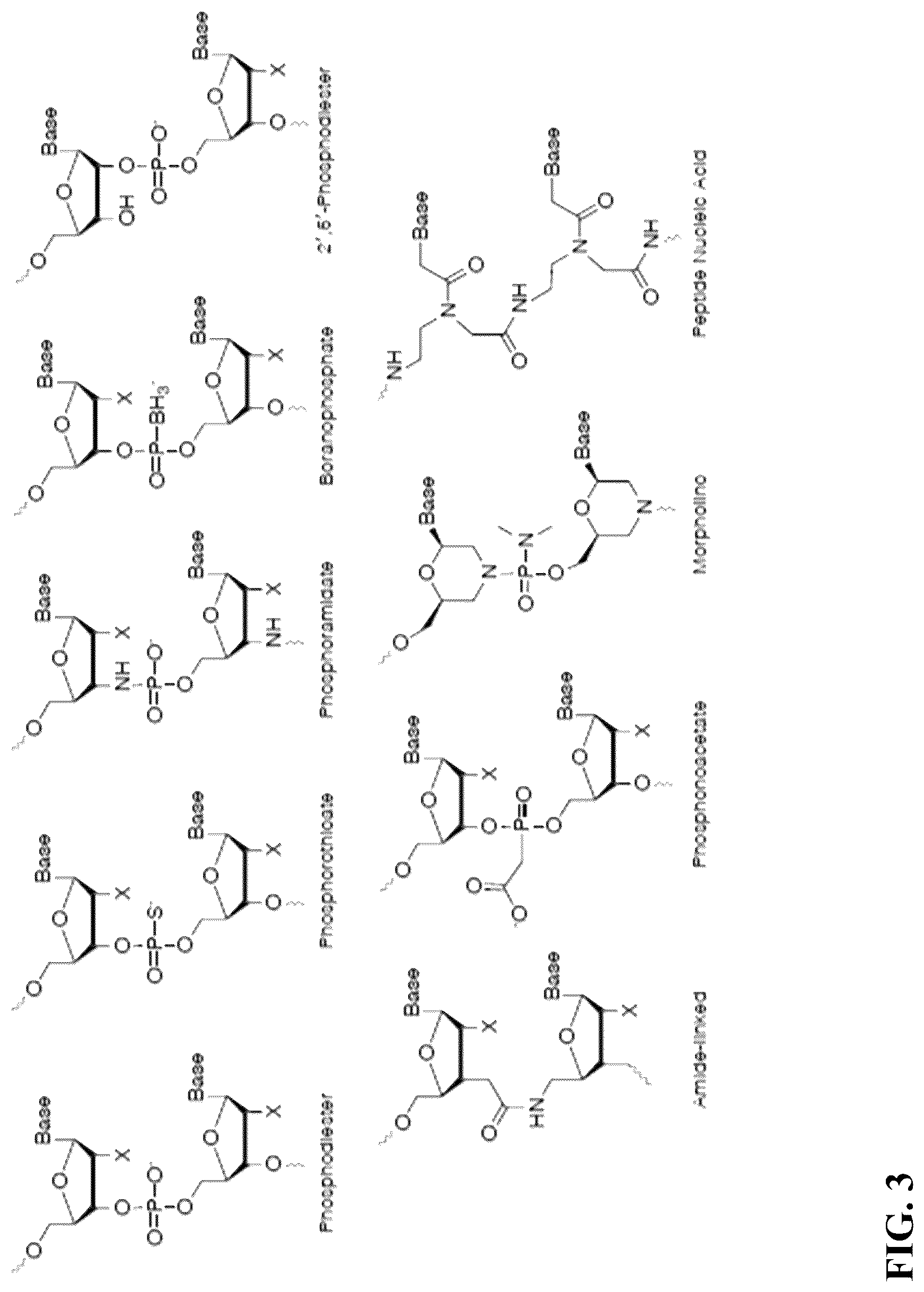Patent US12297430 Figure 3 – O-methyl rich fully stabilized oligonucleotides