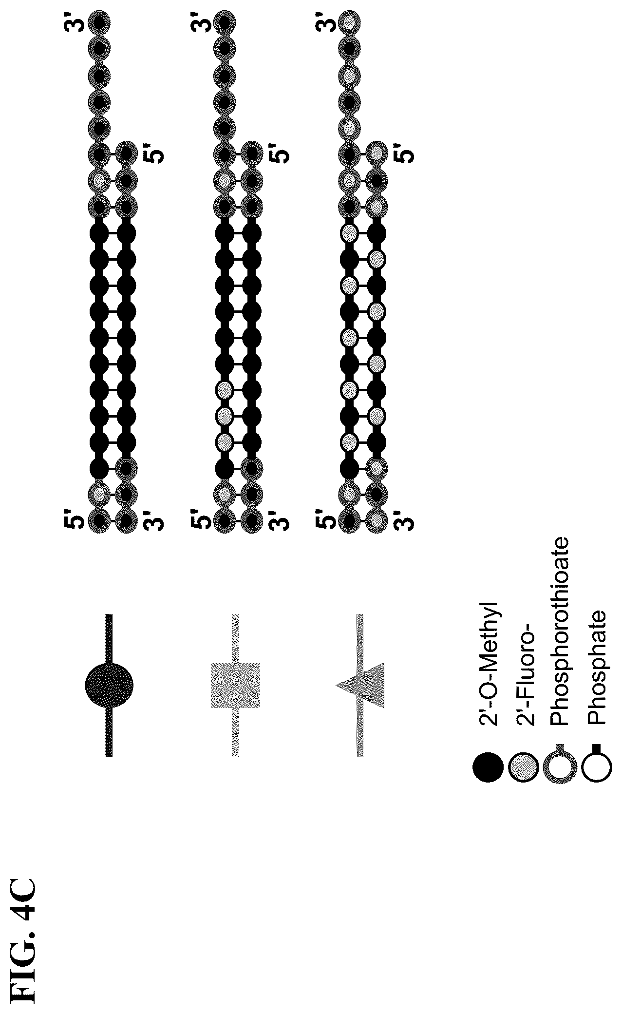 Patent US12297430 Figure 5 – O-methyl rich fully stabilized oligonucleotides