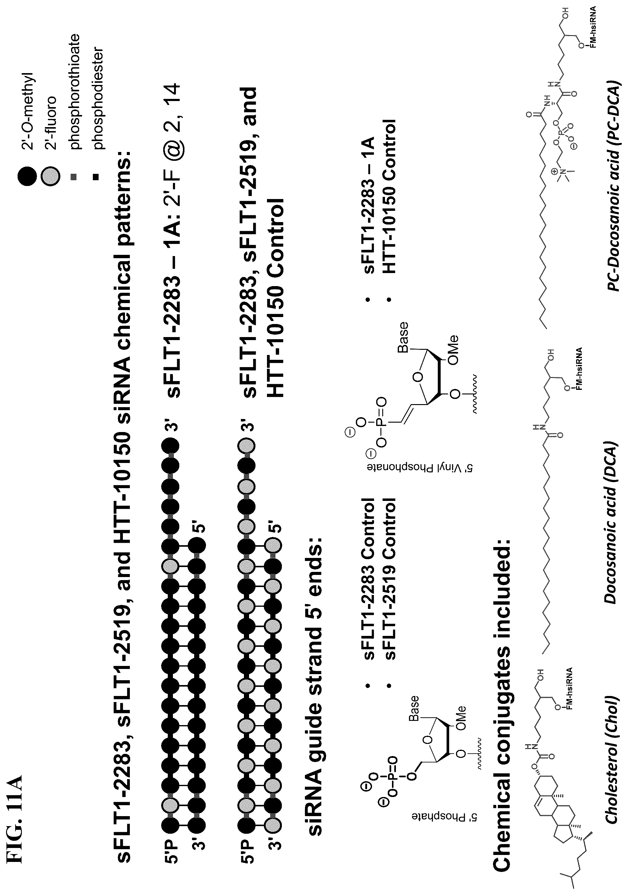 Patent US12297430 Figure 14 – O-methyl rich fully stabilized oligonucleotides