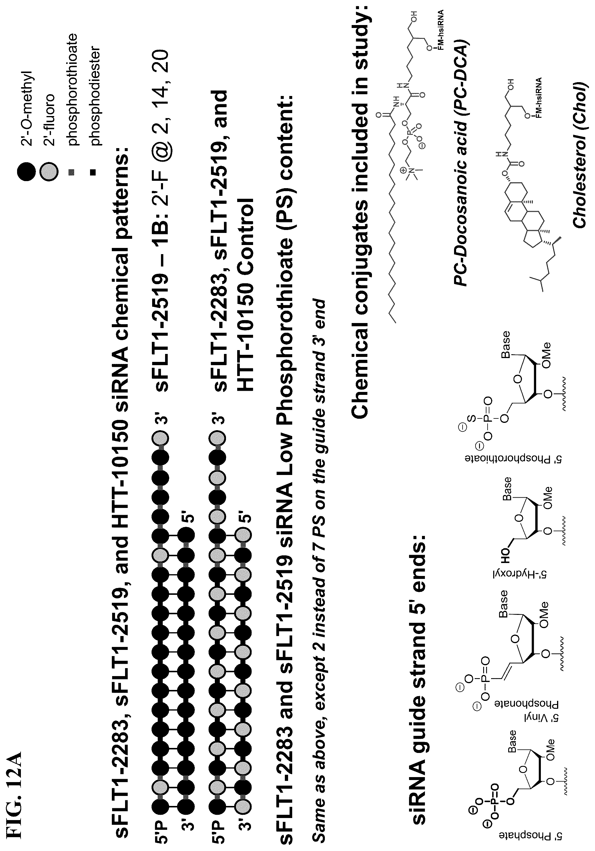 Patent US12297430 Figure 18 – O-methyl rich fully stabilized oligonucleotides