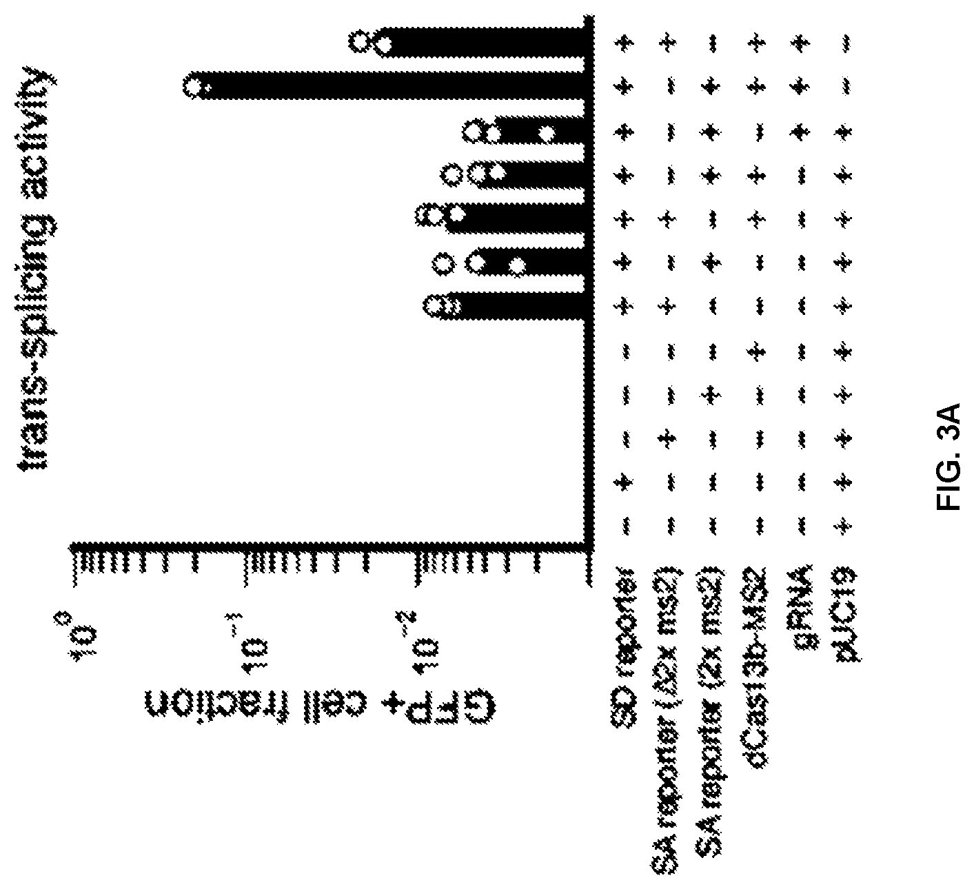 Patent US12297433 Figure 4 – Targeted trans-splicing using CRISPR/Cas13