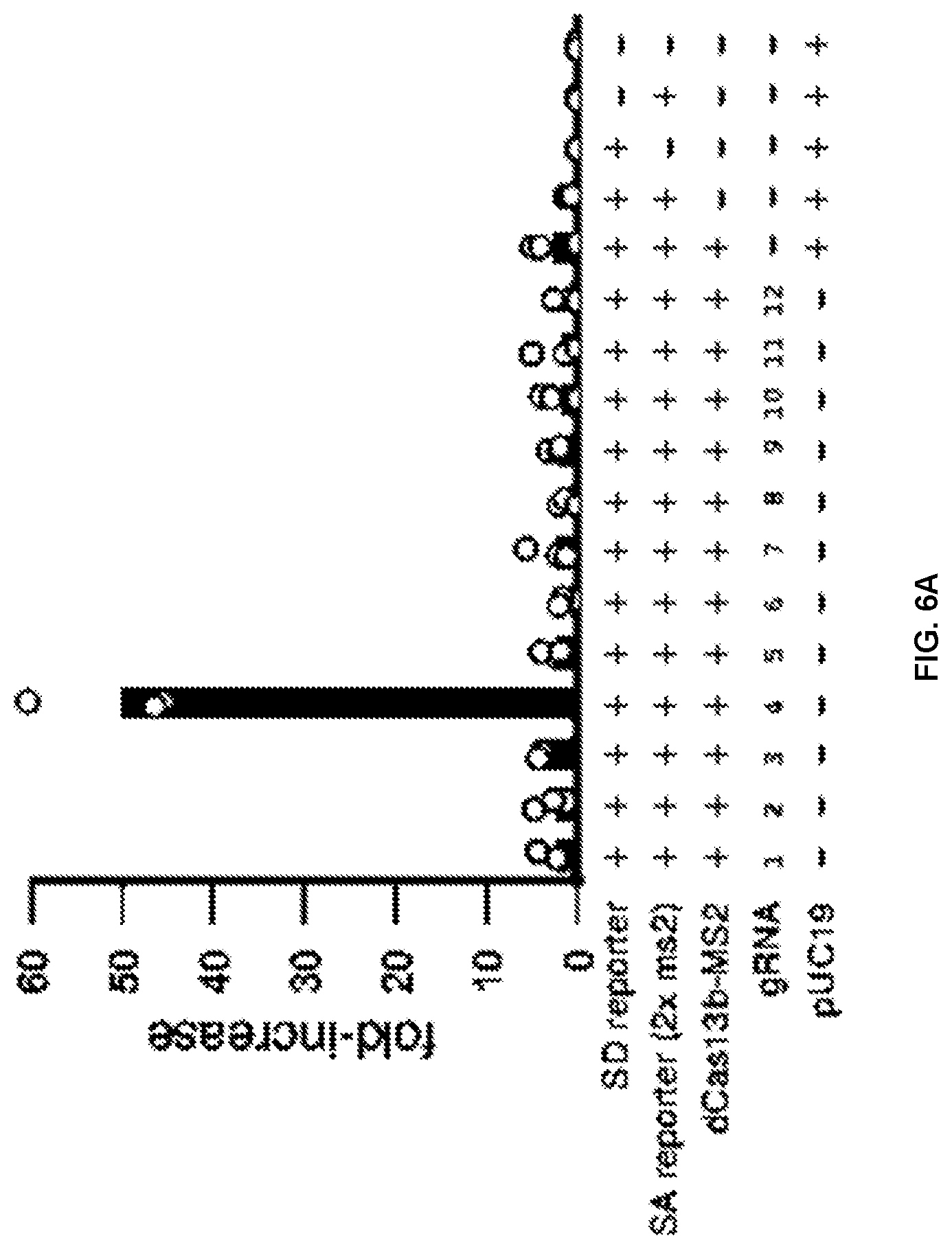 Patent US12297433 Figure 8 – Targeted trans-splicing using CRISPR/Cas13