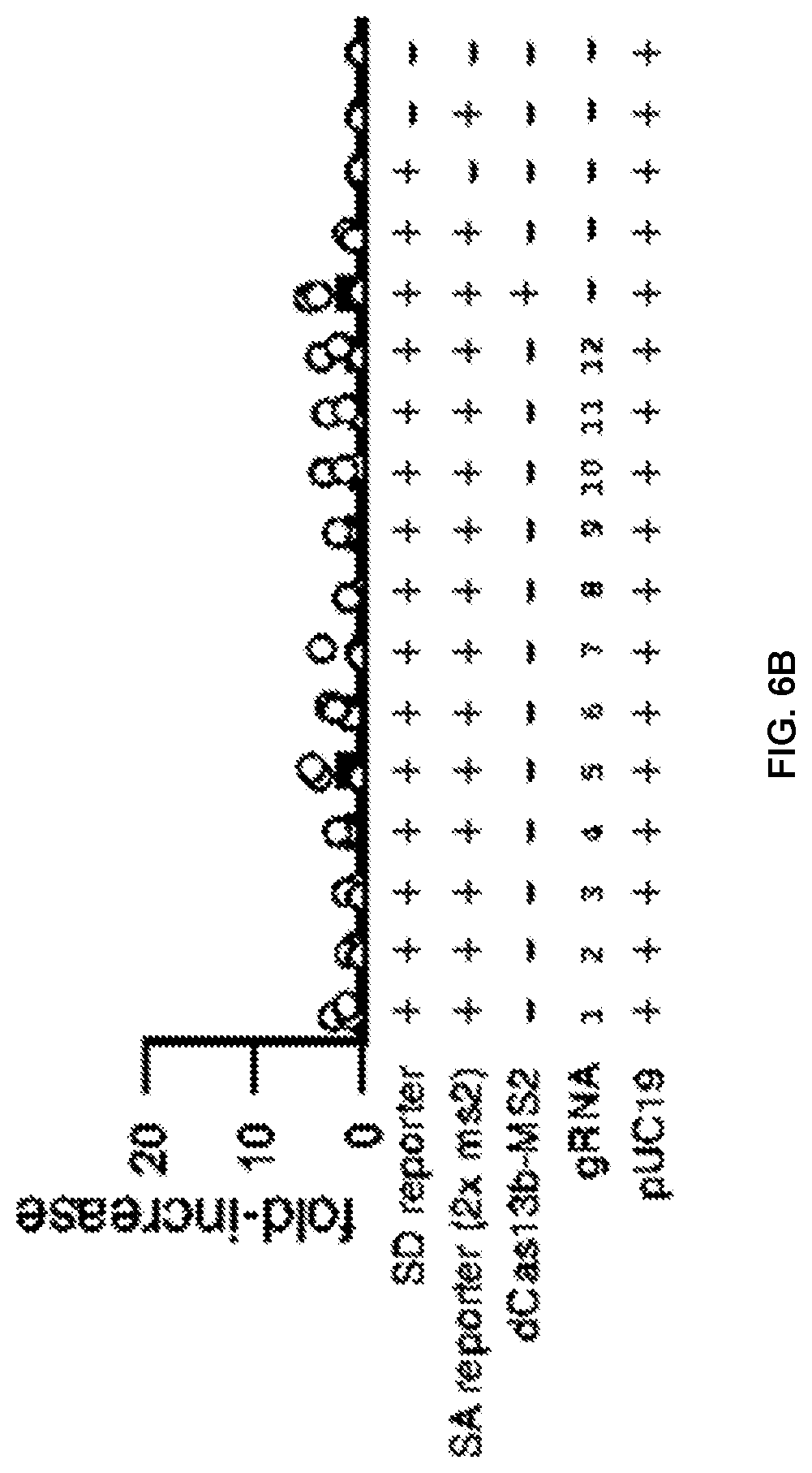 Patent US12297433 Figure 9 – Targeted trans-splicing using CRISPR/Cas13