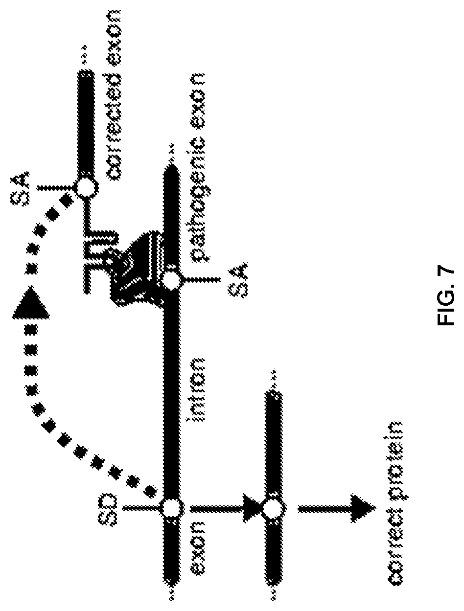 Patent US12297433 Figure 10 – Targeted trans-splicing using CRISPR/Cas13