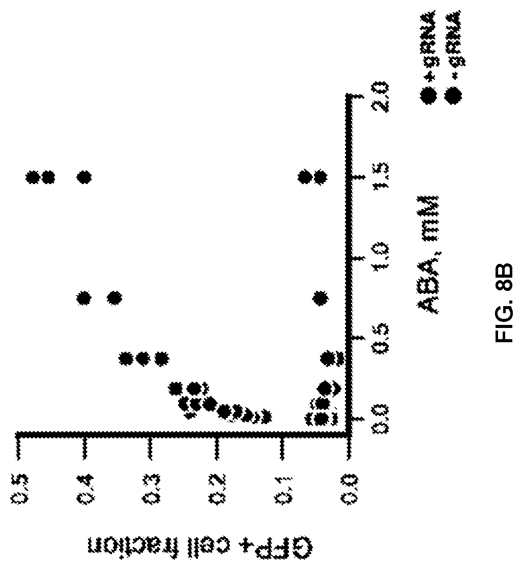 Patent US12297433 Figure 12 – Targeted trans-splicing using CRISPR/Cas13