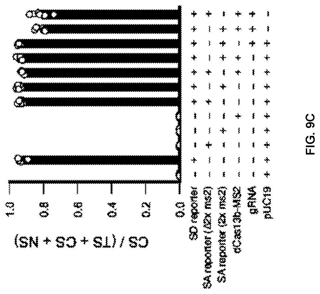 Patent US12297433 Figure 16 – Targeted trans-splicing using CRISPR/Cas13