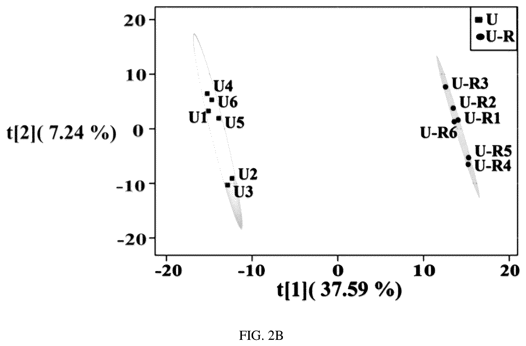 Patent US12297434 Figure 6 – Biomarker for predicting drug resistance of bruton's tyrosine kinase inhibitors and application thereof