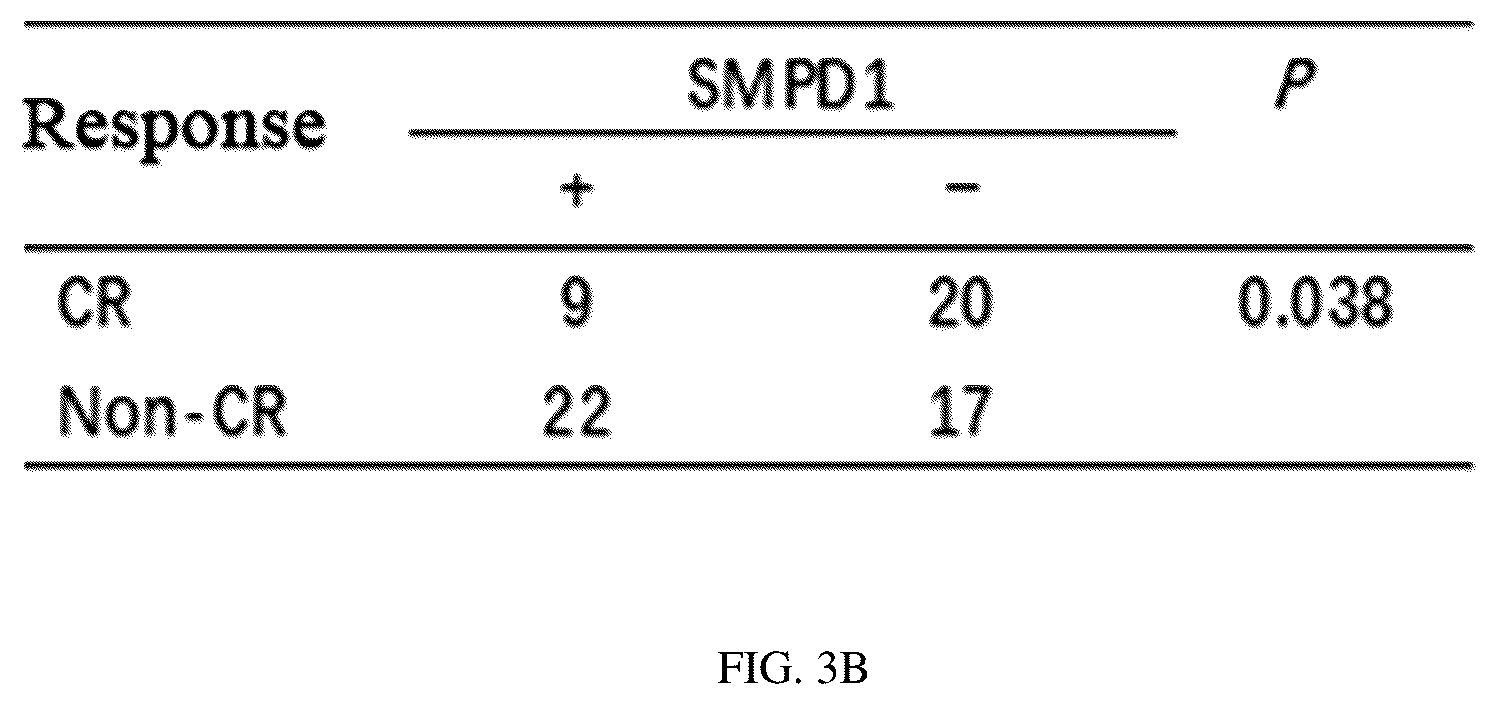 Patent US12297434 Figure 9 – Biomarker for predicting drug resistance of bruton's tyrosine kinase inhibitors and application thereof