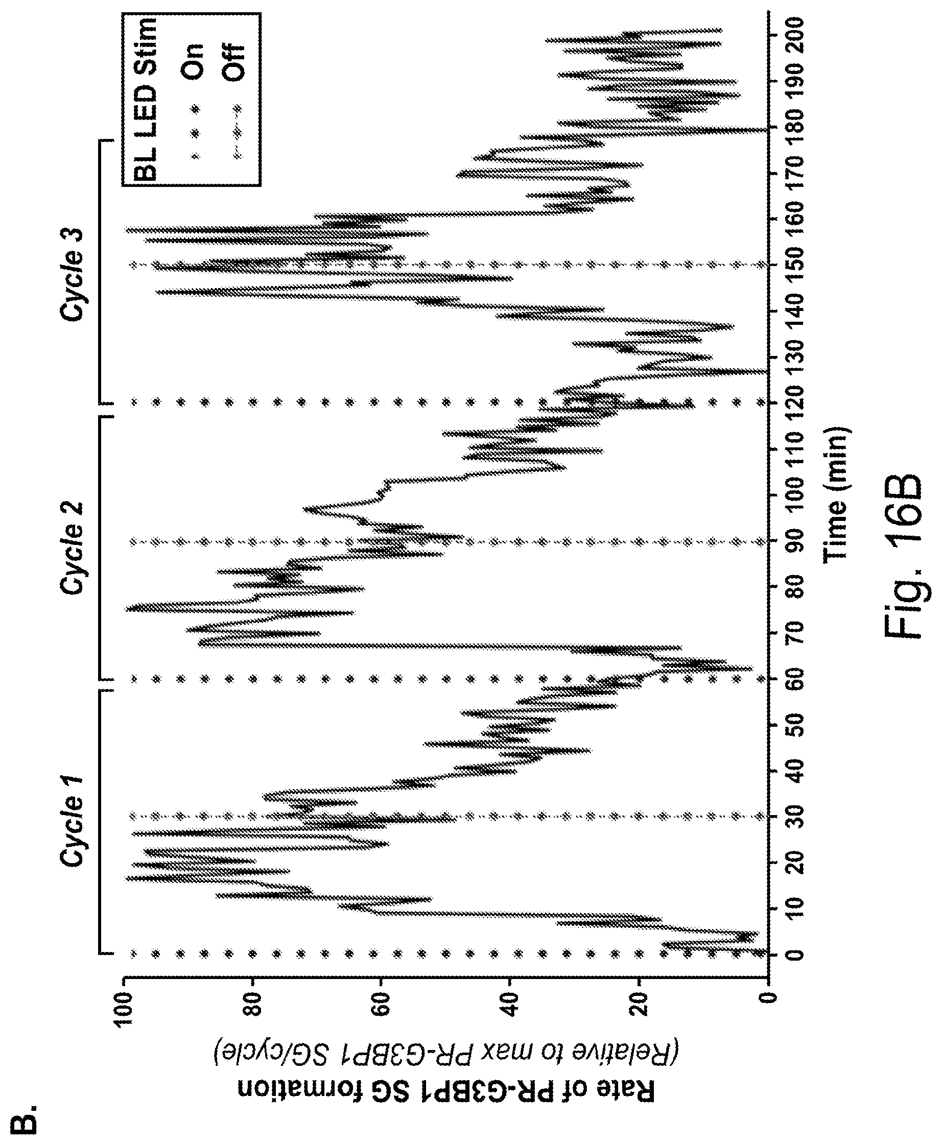 Patent US12297437 Figure 17 – Optogenetic induction of membraneless organelles