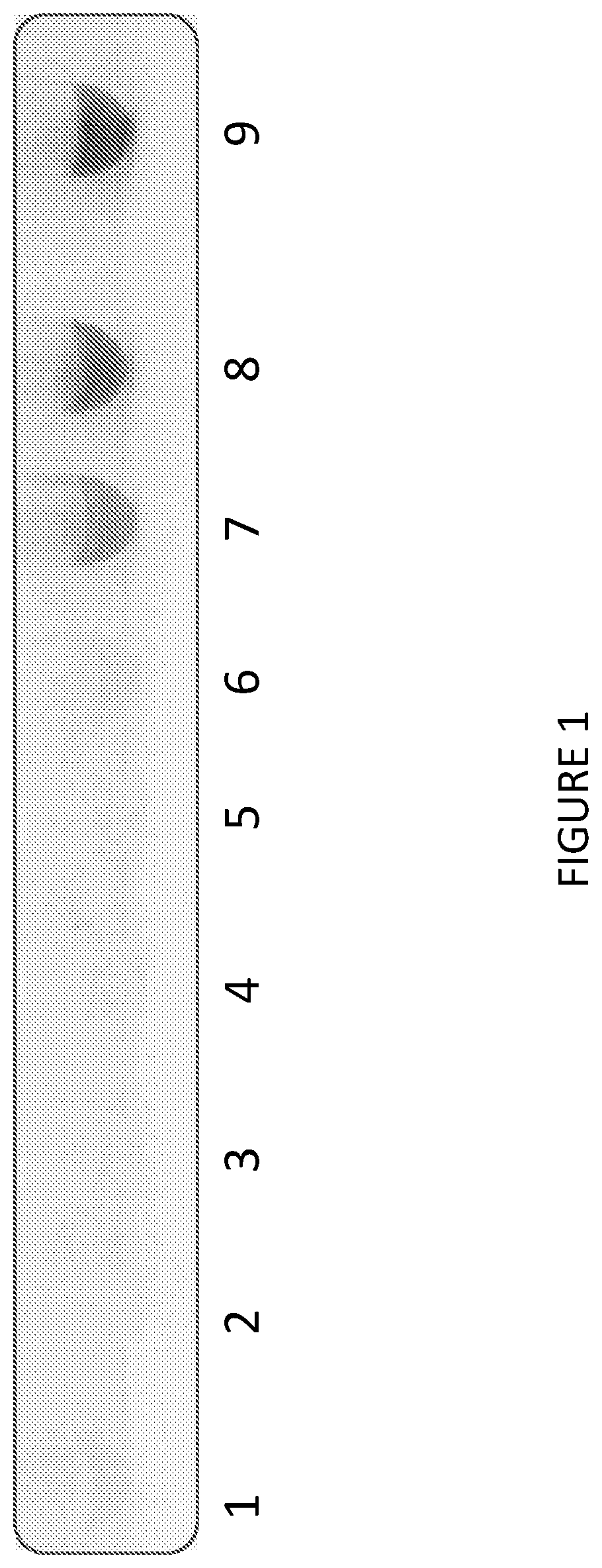 Patent US12297438 Figure 1 – Gene expression elements and systems and use thereof