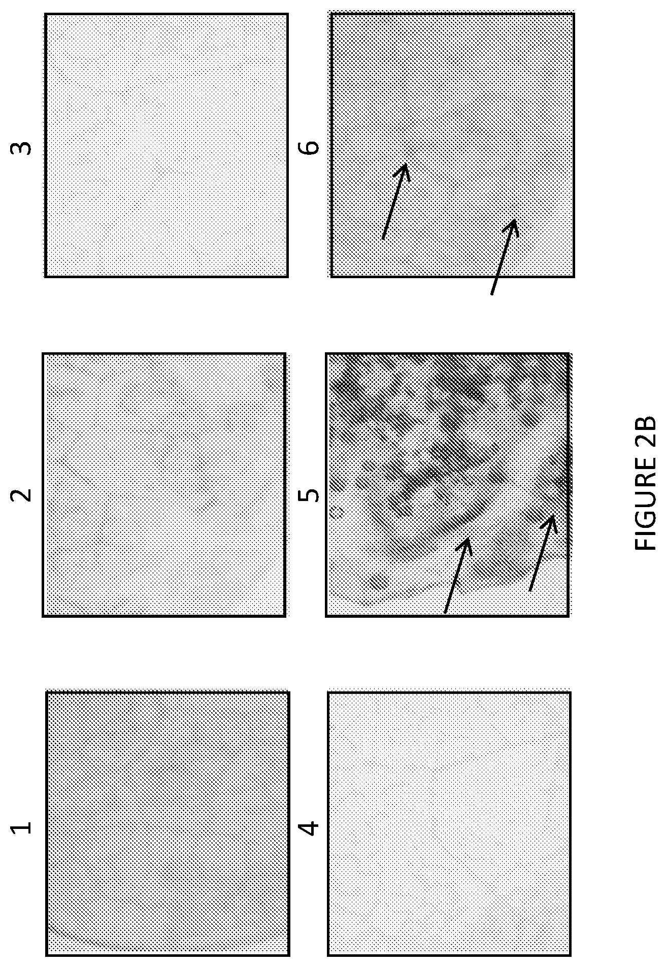 Patent US12297438 Figure 3 – Gene expression elements and systems and use thereof