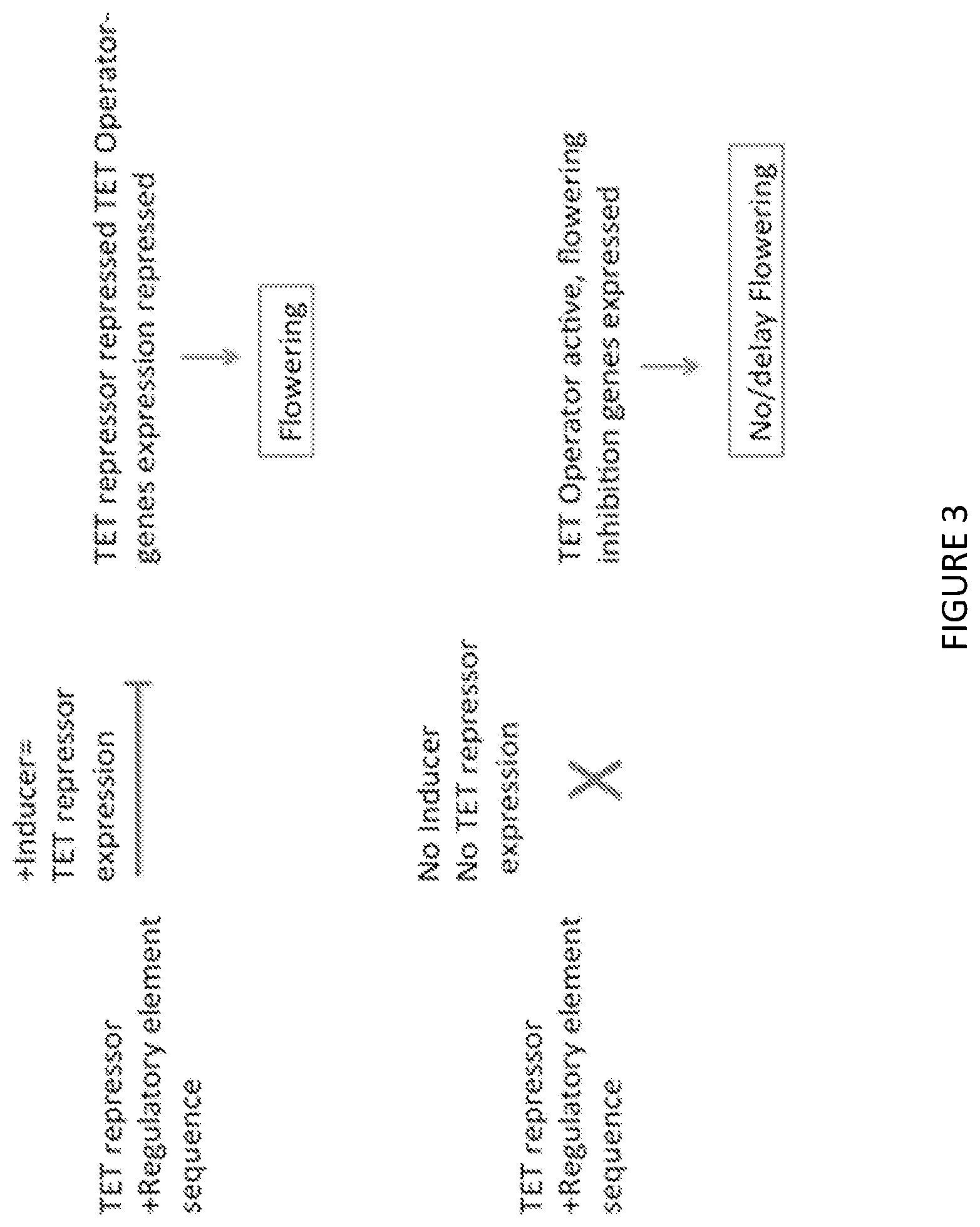 Patent US12297438 Figure 4 – Gene expression elements and systems and use thereof