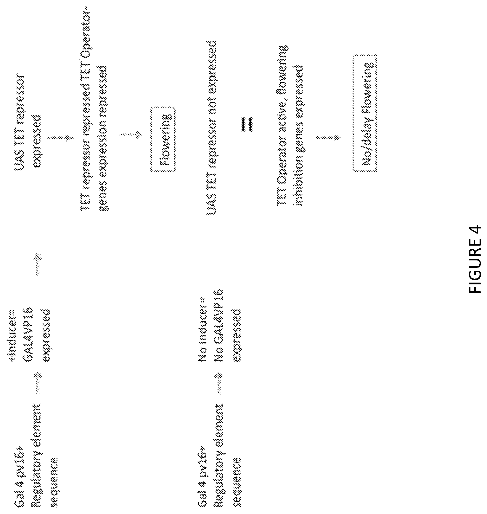 Patent US12297438 Figure 5 – Gene expression elements and systems and use thereof
