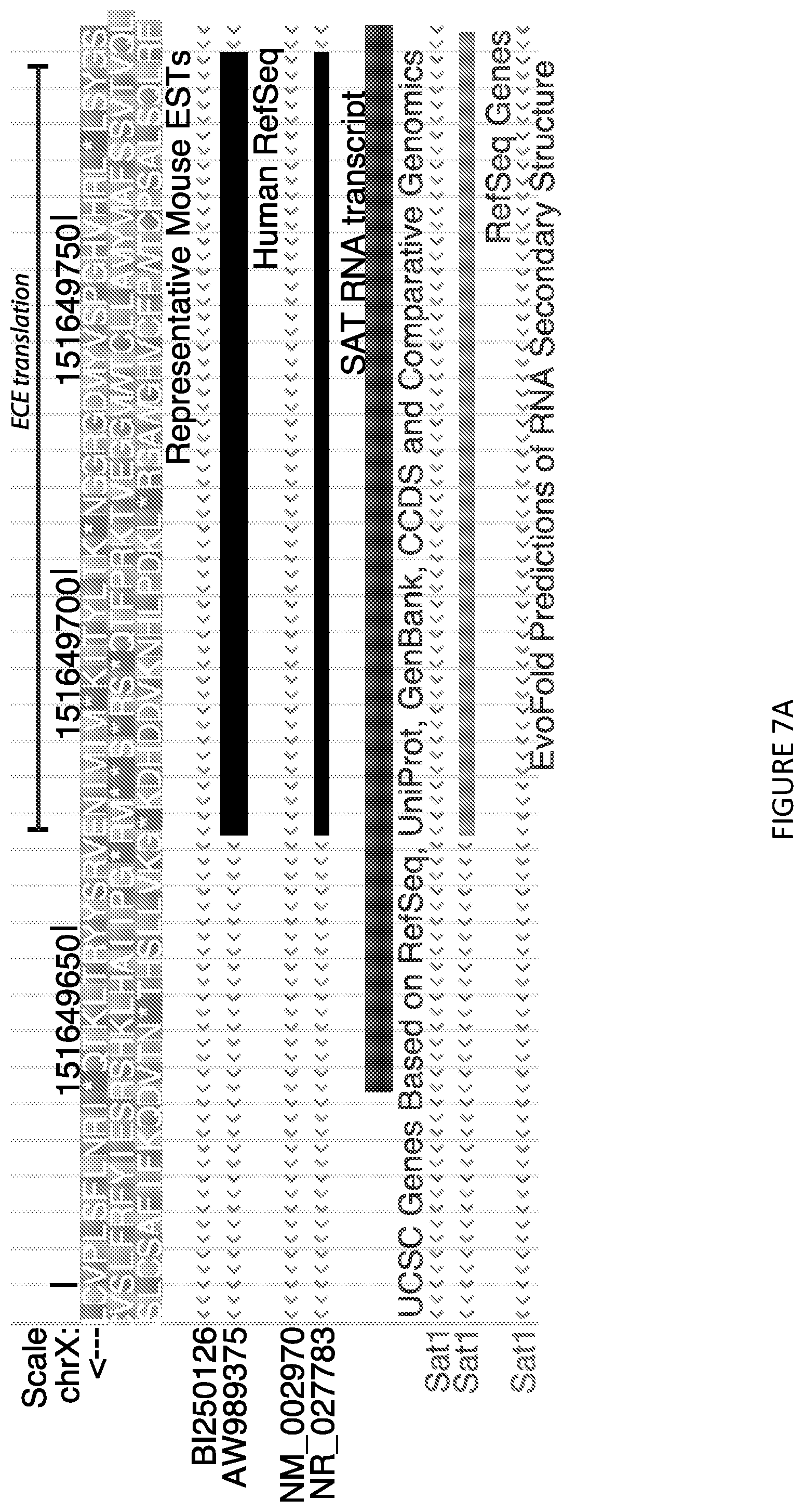 Patent US12297438 Figure 8 – Gene expression elements and systems and use thereof