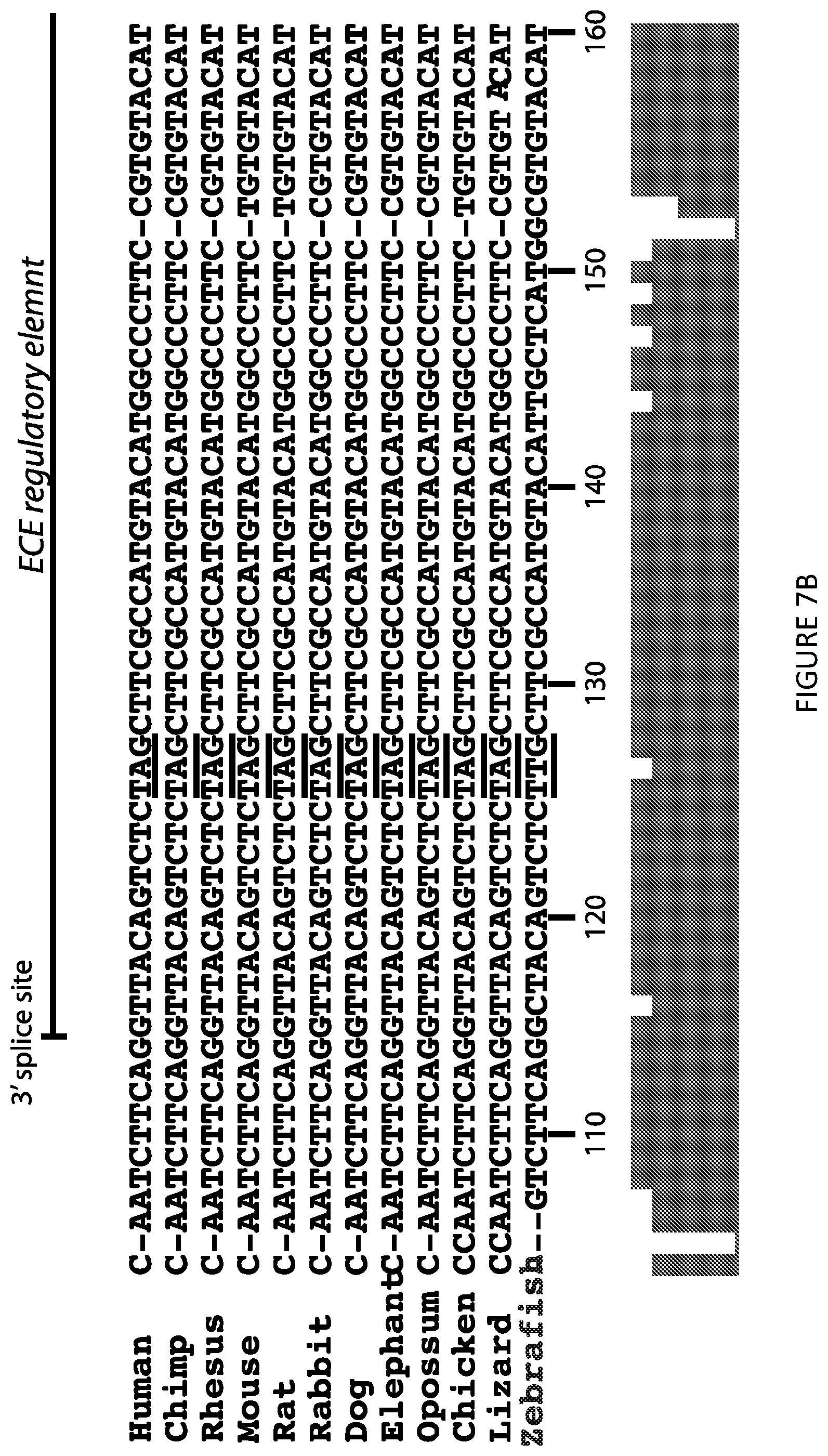 Patent US12297438 Figure 10 – Gene expression elements and systems and use thereof