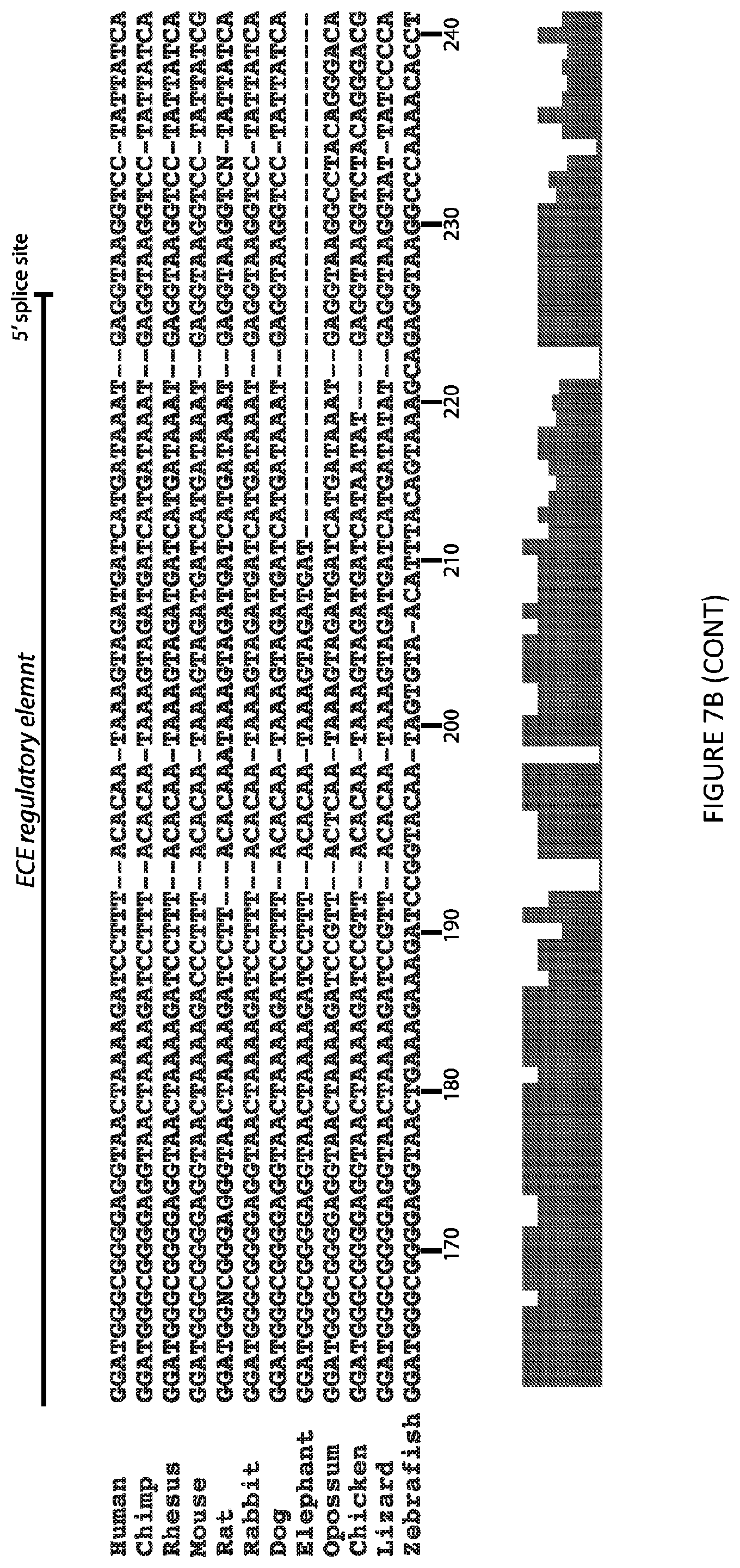 Patent US12297438 Figure 11 – Gene expression elements and systems and use thereof