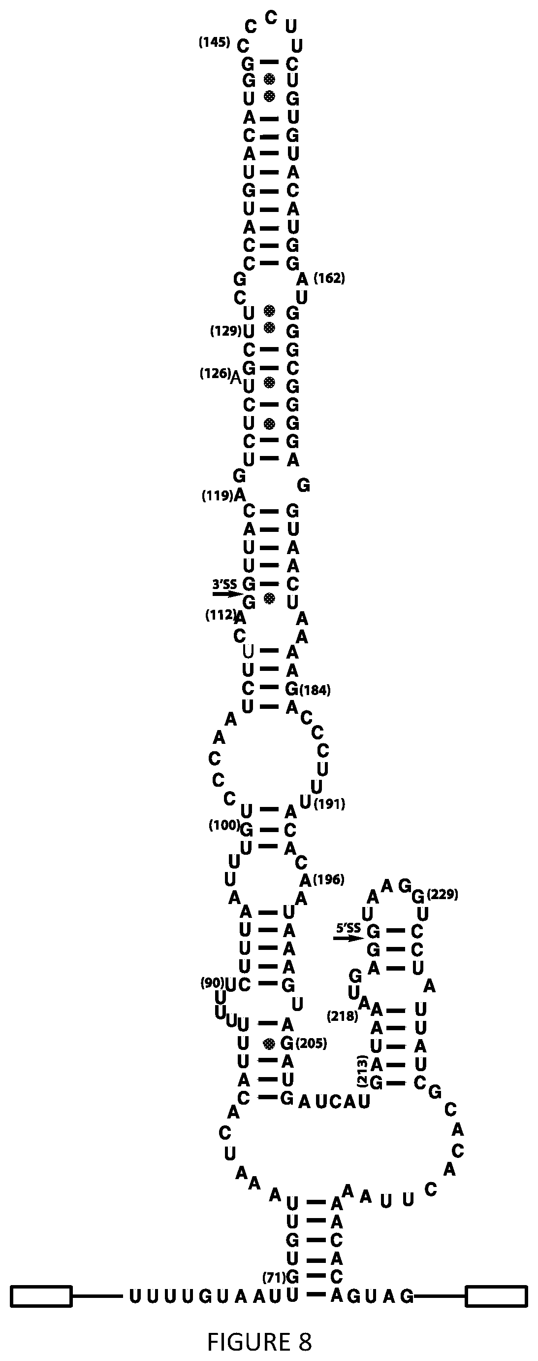Patent US12297438 Figure 12 – Gene expression elements and systems and use thereof