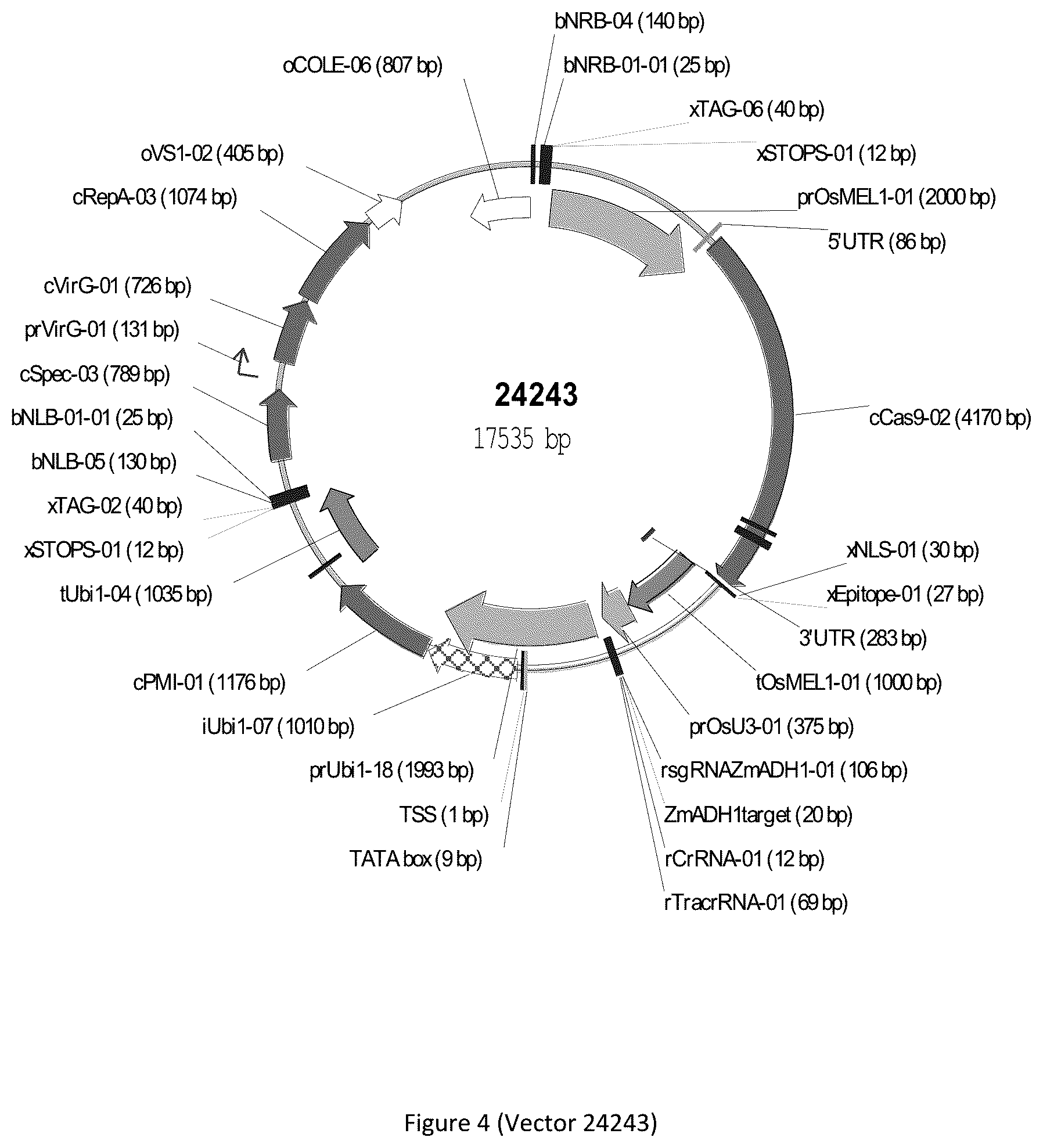 Patent US12297439 Figure 4 – Compositions and methods for driving T1 event diversity