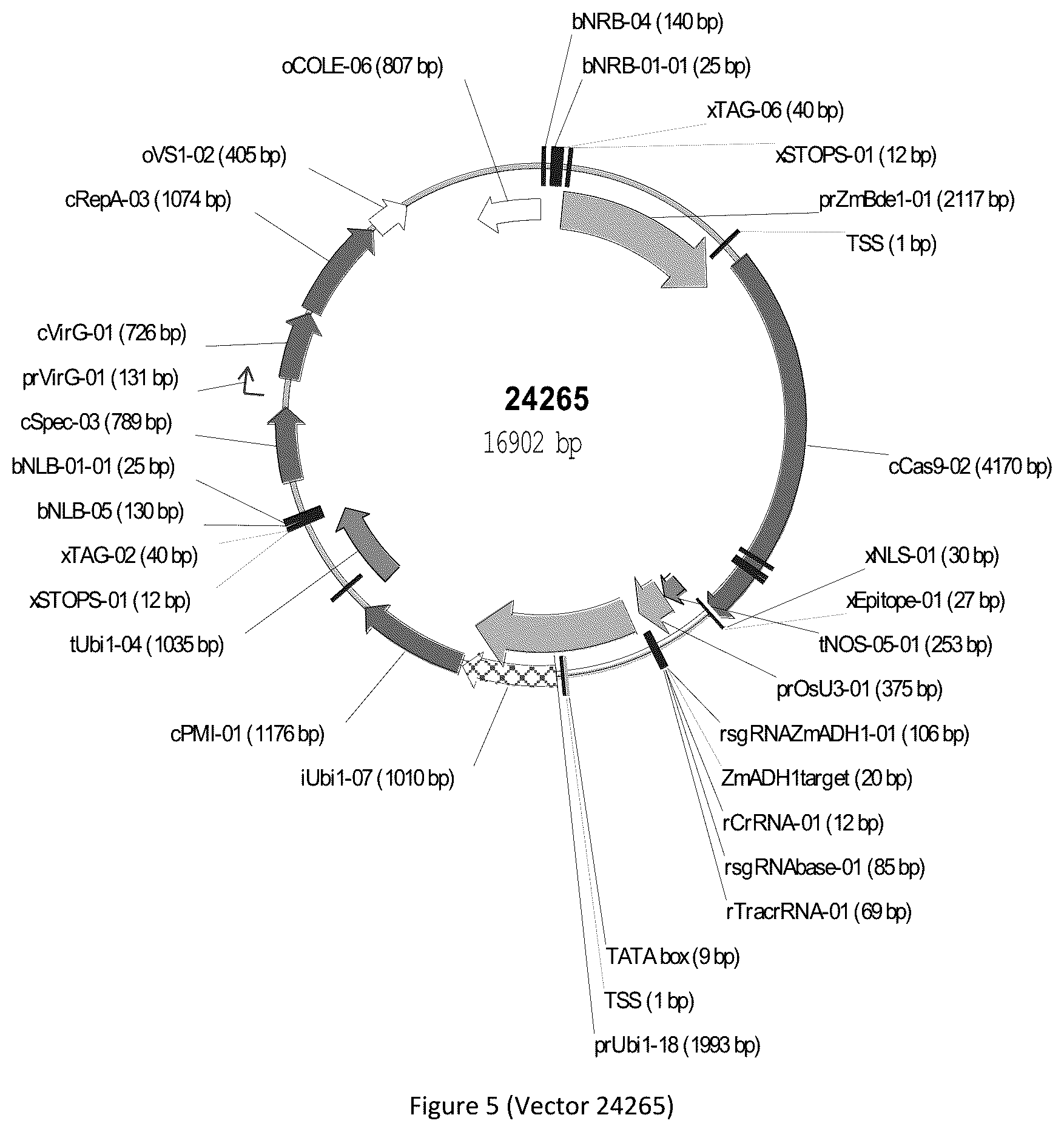 Patent US12297439 Figure 5 – Compositions and methods for driving T1 event diversity