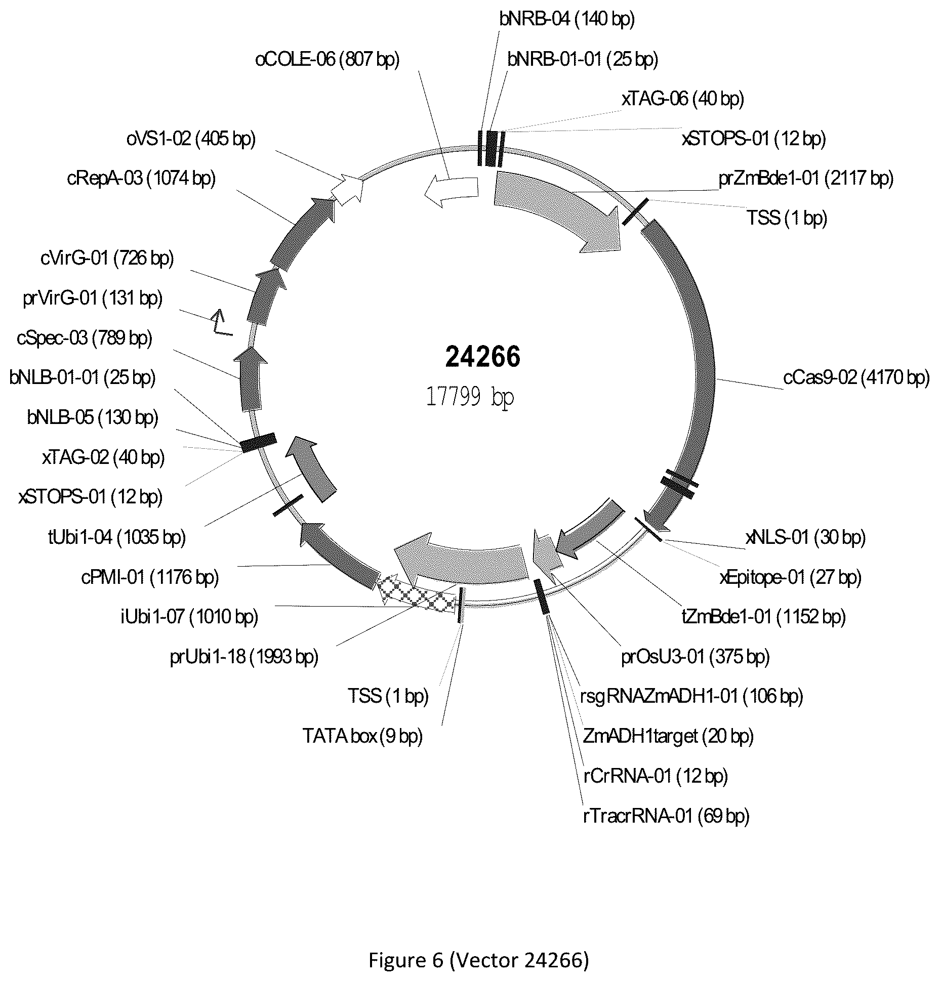 Patent US12297439 Figure 6 – Compositions and methods for driving T1 event diversity