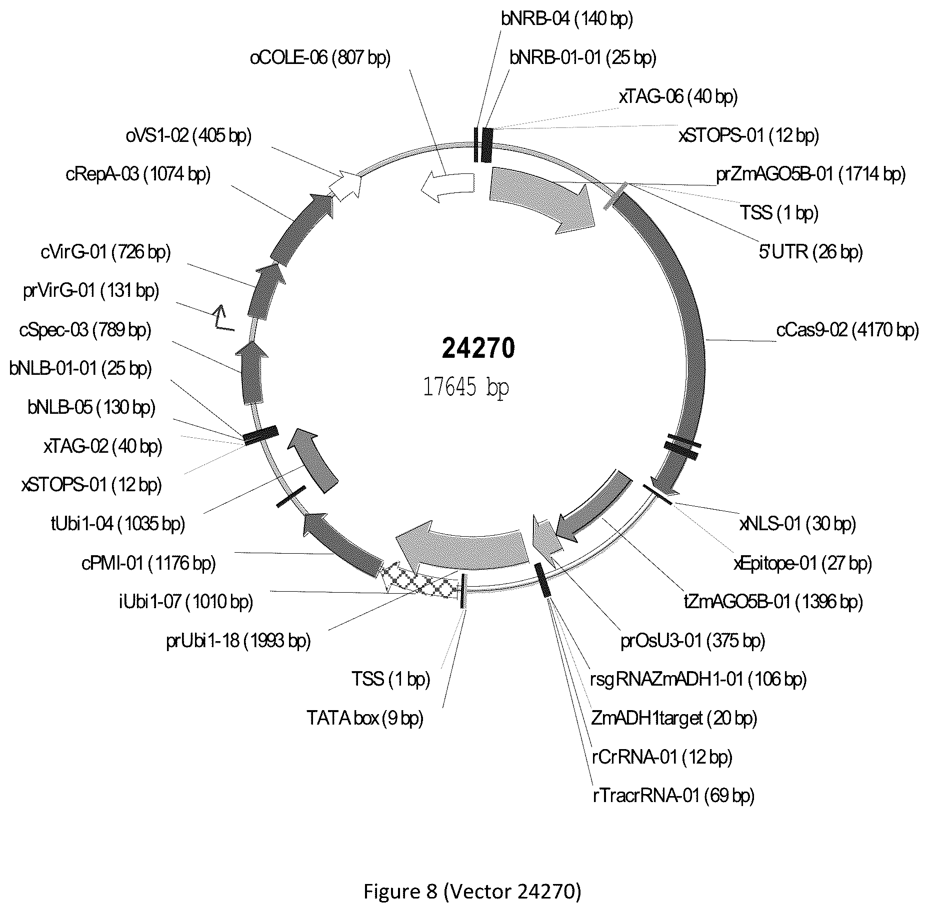 Patent US12297439 Figure 8 – Compositions and methods for driving T1 event diversity