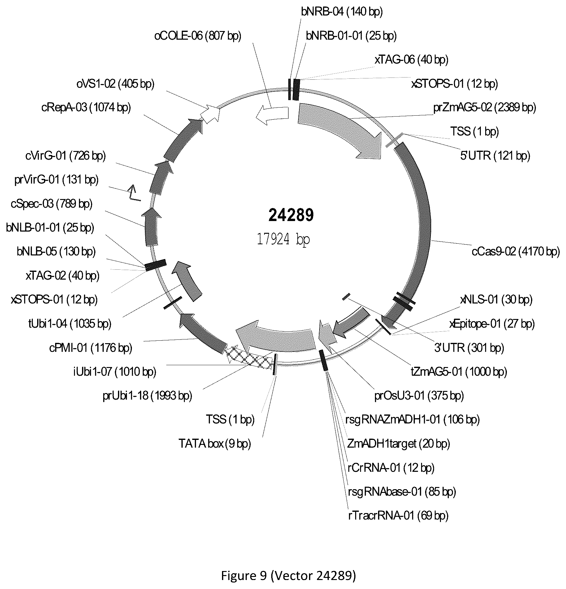 Patent US12297439 Figure 9 – Compositions and methods for driving T1 event diversity