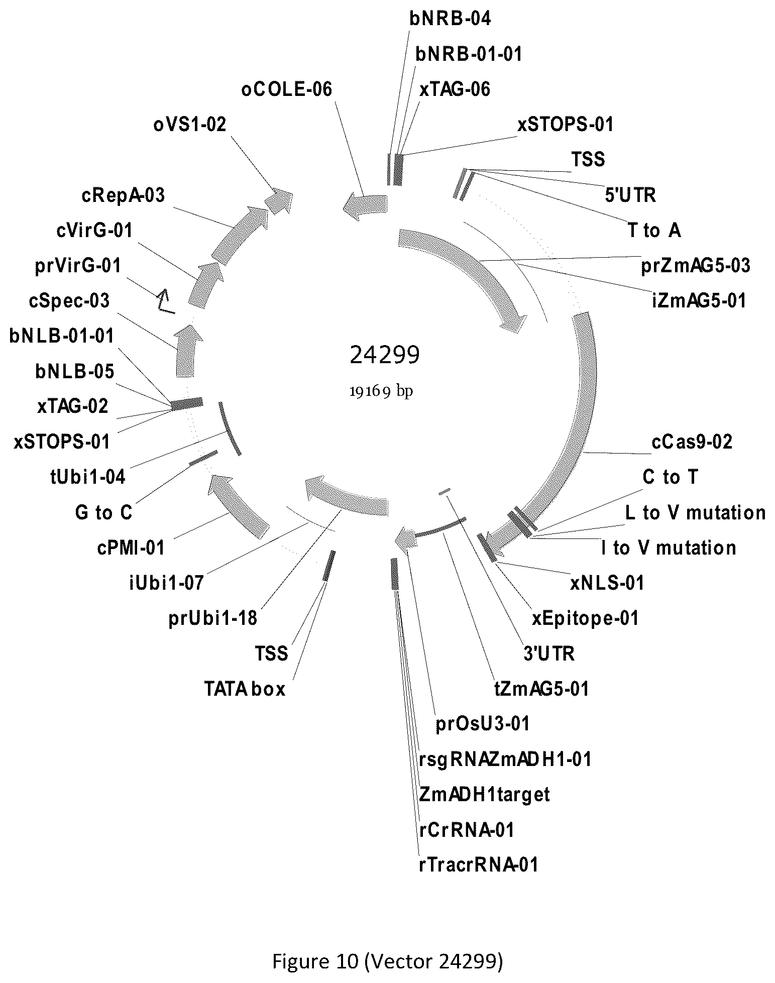 Patent US12297439 Figure 10 – Compositions and methods for driving T1 event diversity