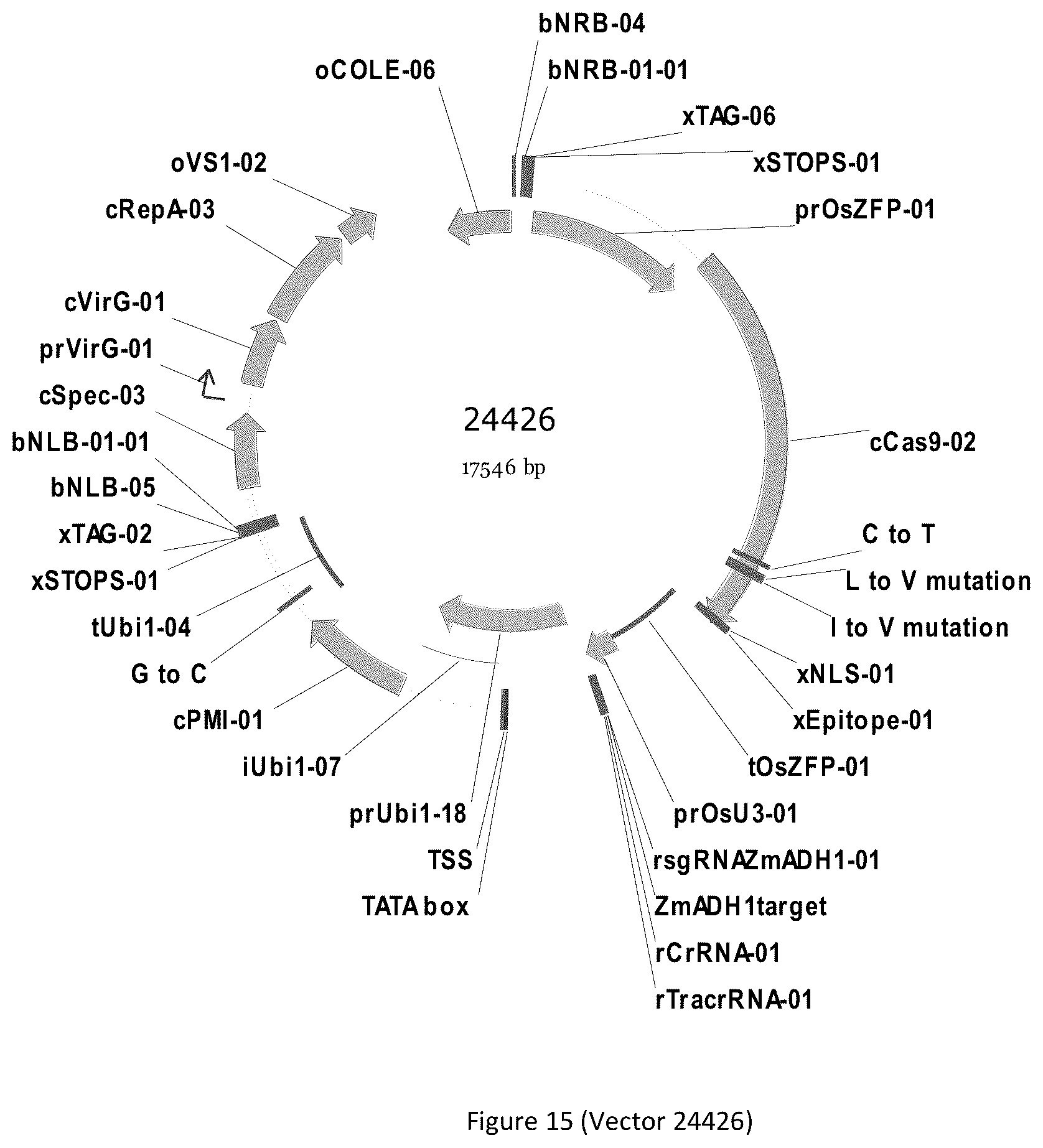Patent US12297439 Figure 15 – Compositions and methods for driving T1 event diversity