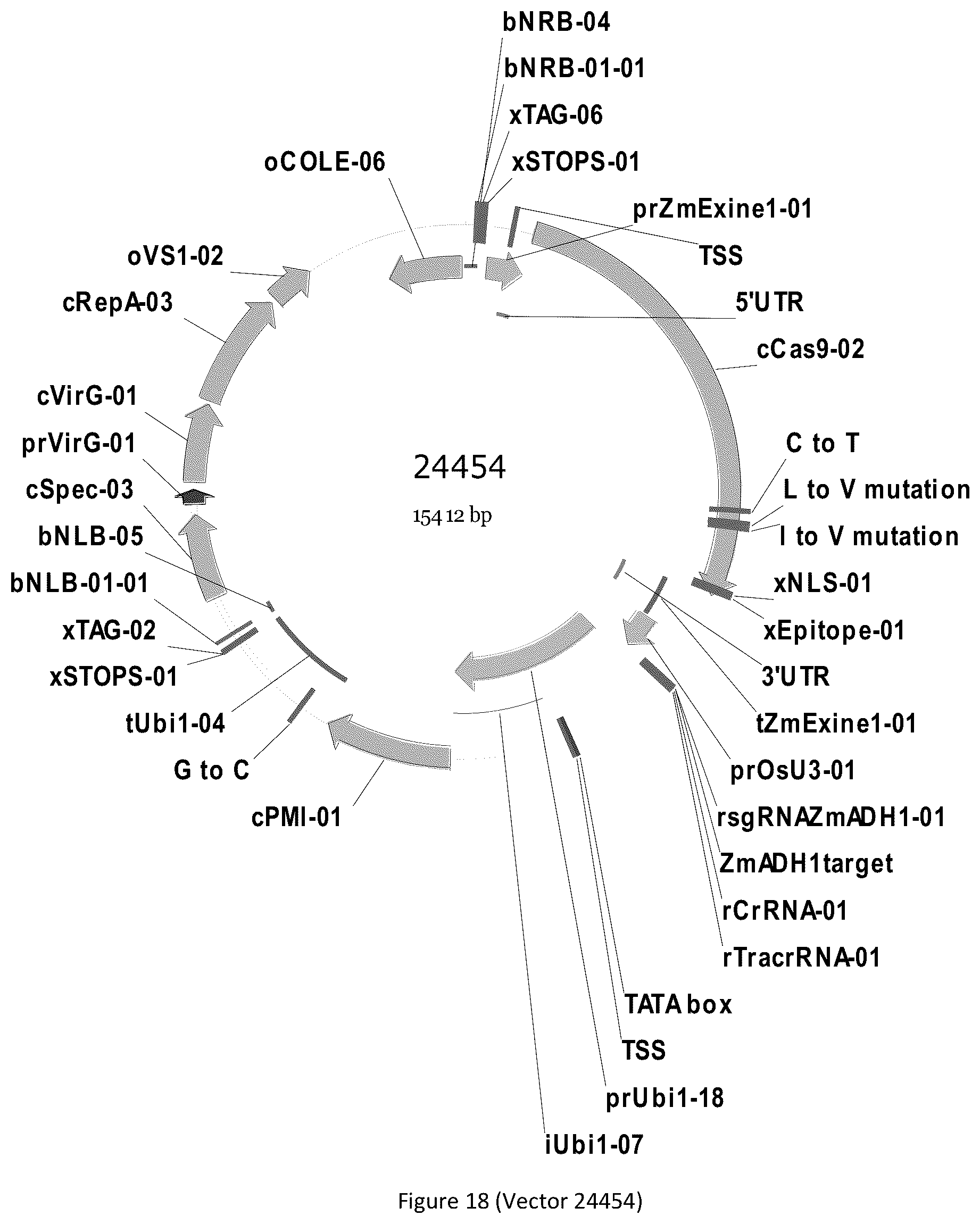 Patent US12297439 Figure 18 – Compositions and methods for driving T1 event diversity