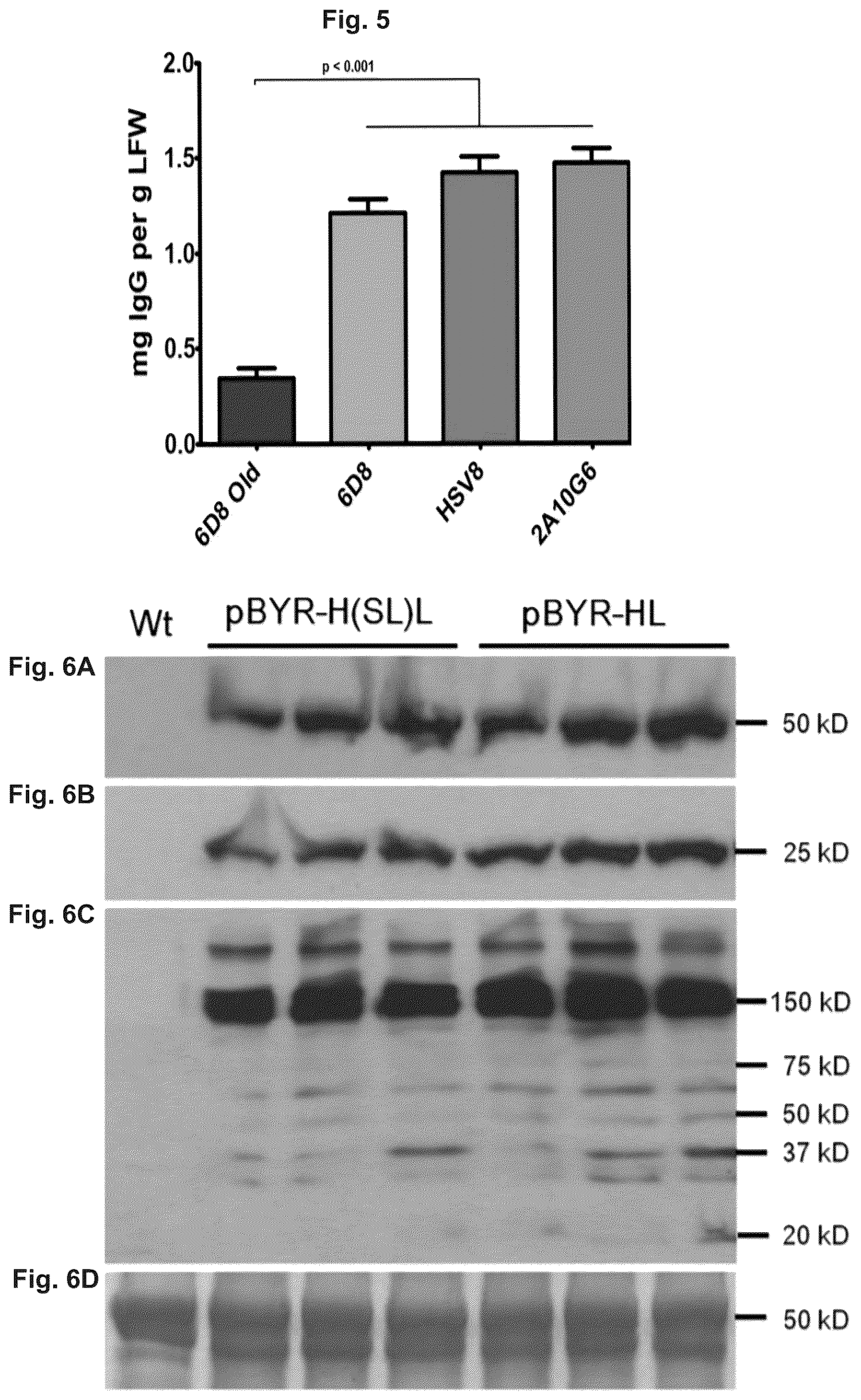Patent US12297443 Figure 5 – Optimized plant expression systems