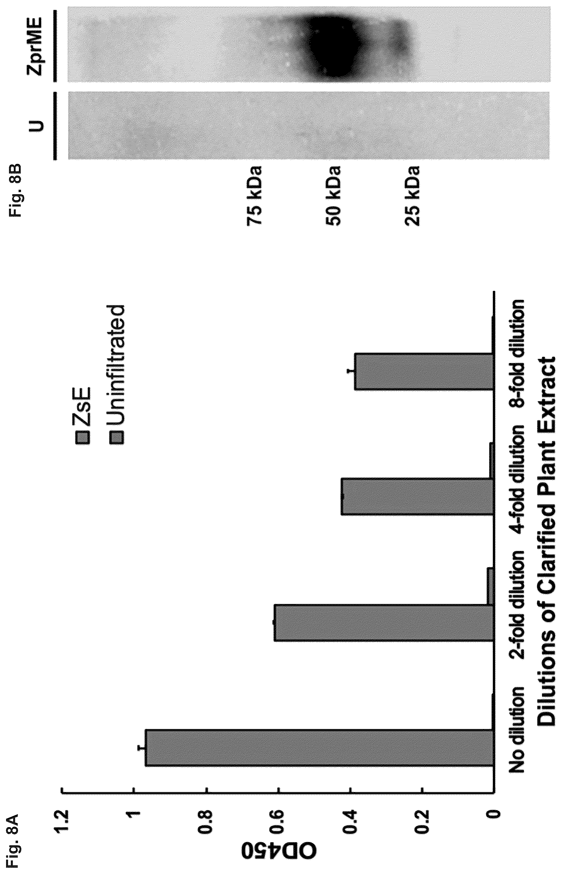 Patent US12297443 Figure 7 – Optimized plant expression systems