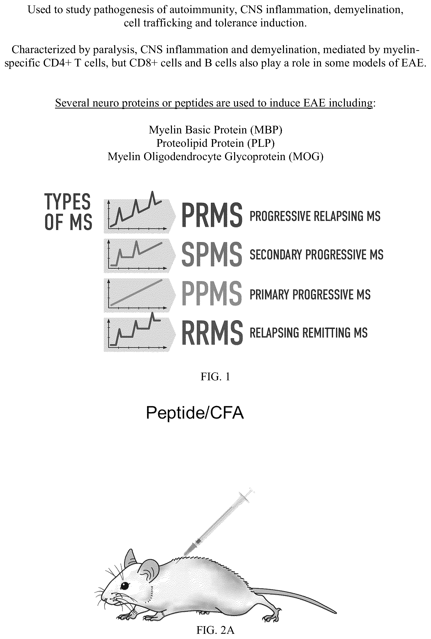 Patent US12297444 Figure 1 – AAV-based gene therapies for treatment of autoimmune diseases