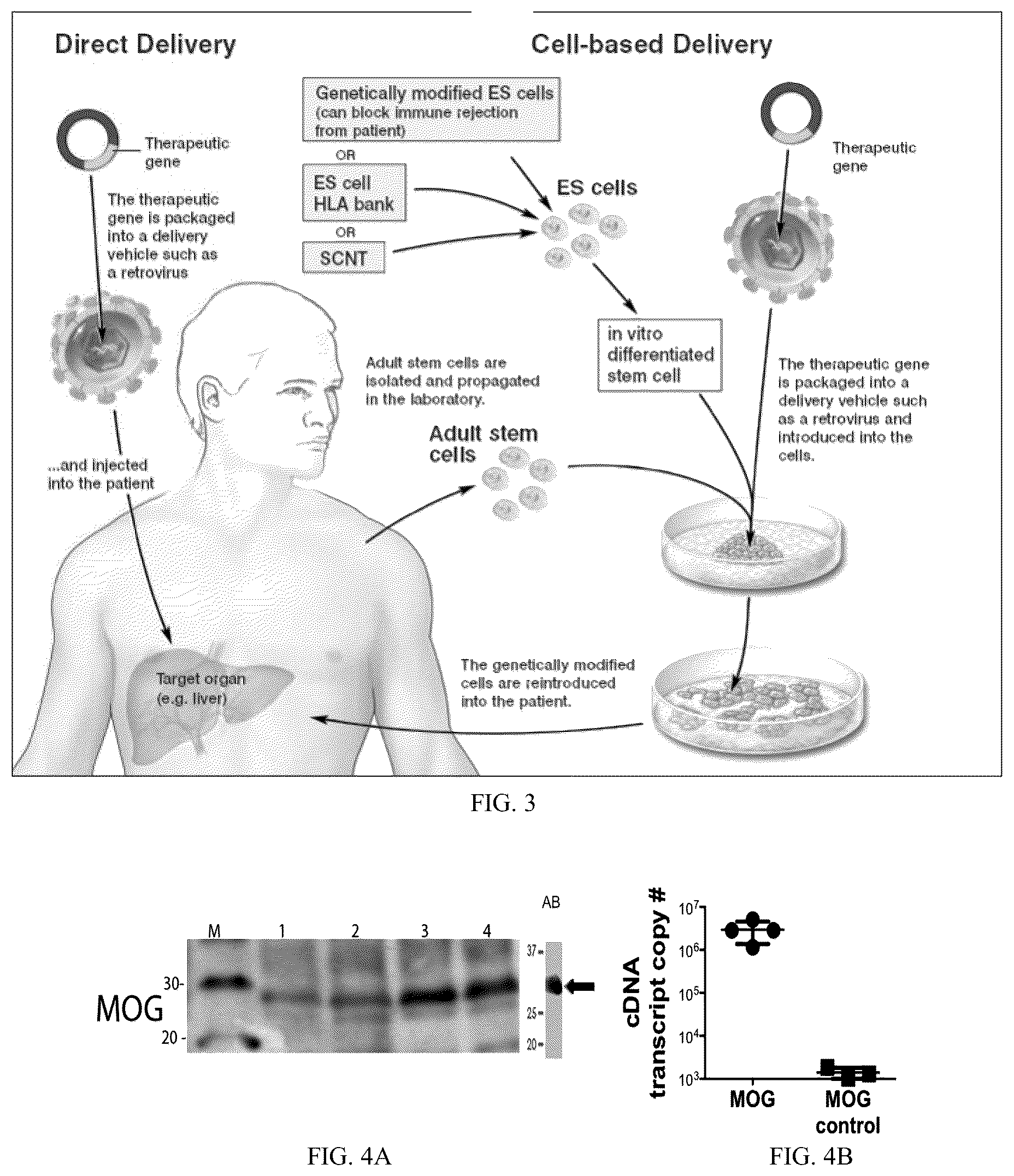 Patent US12297444 Figure 3 – AAV-based gene therapies for treatment of autoimmune diseases