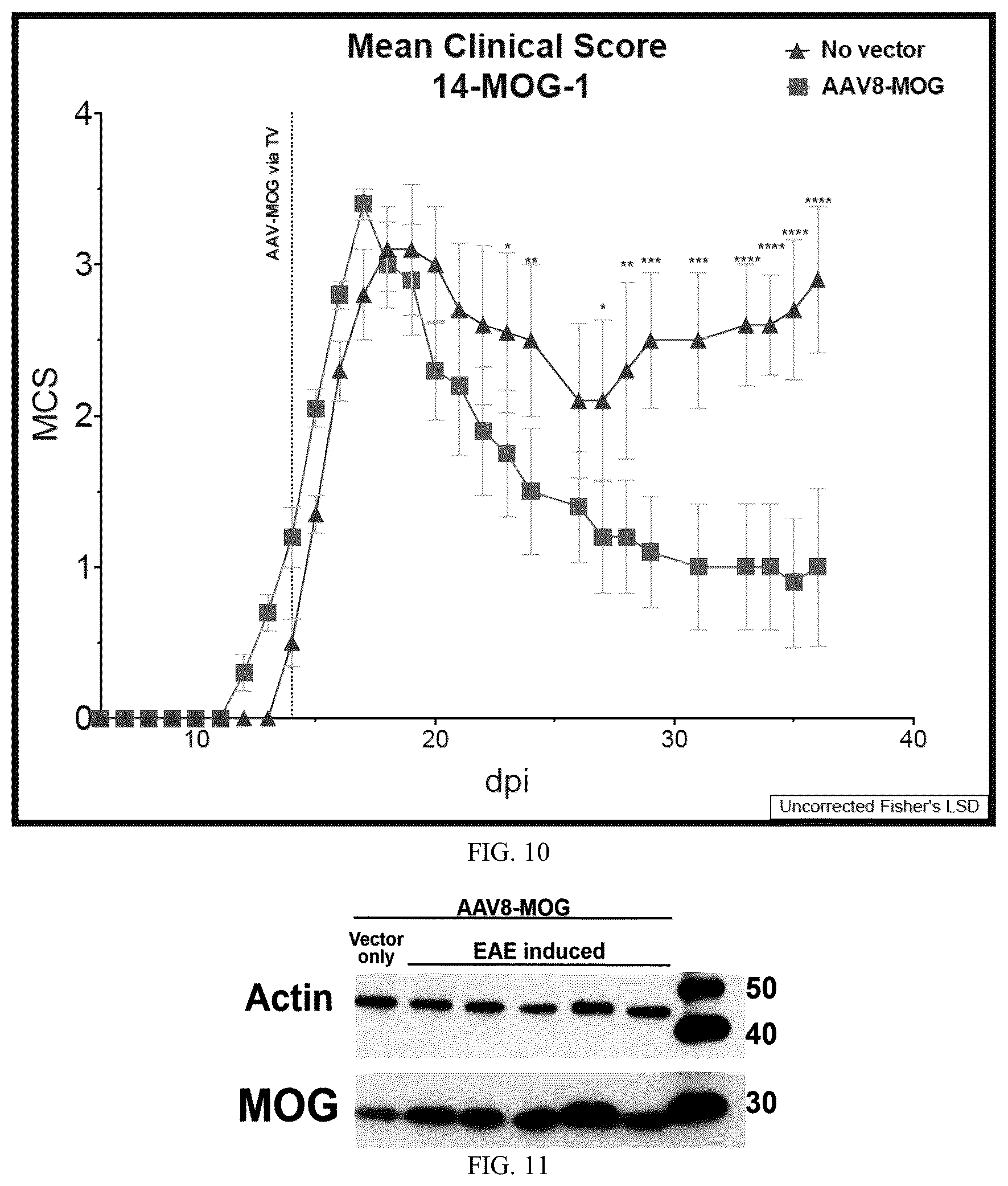 Patent US12297444 Figure 10 – AAV-based gene therapies for treatment of autoimmune diseases